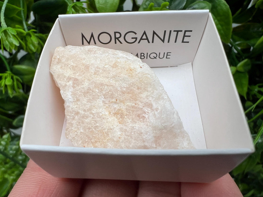 Rare Raw Morganite Mineral Specimen, Mozambique Crystal