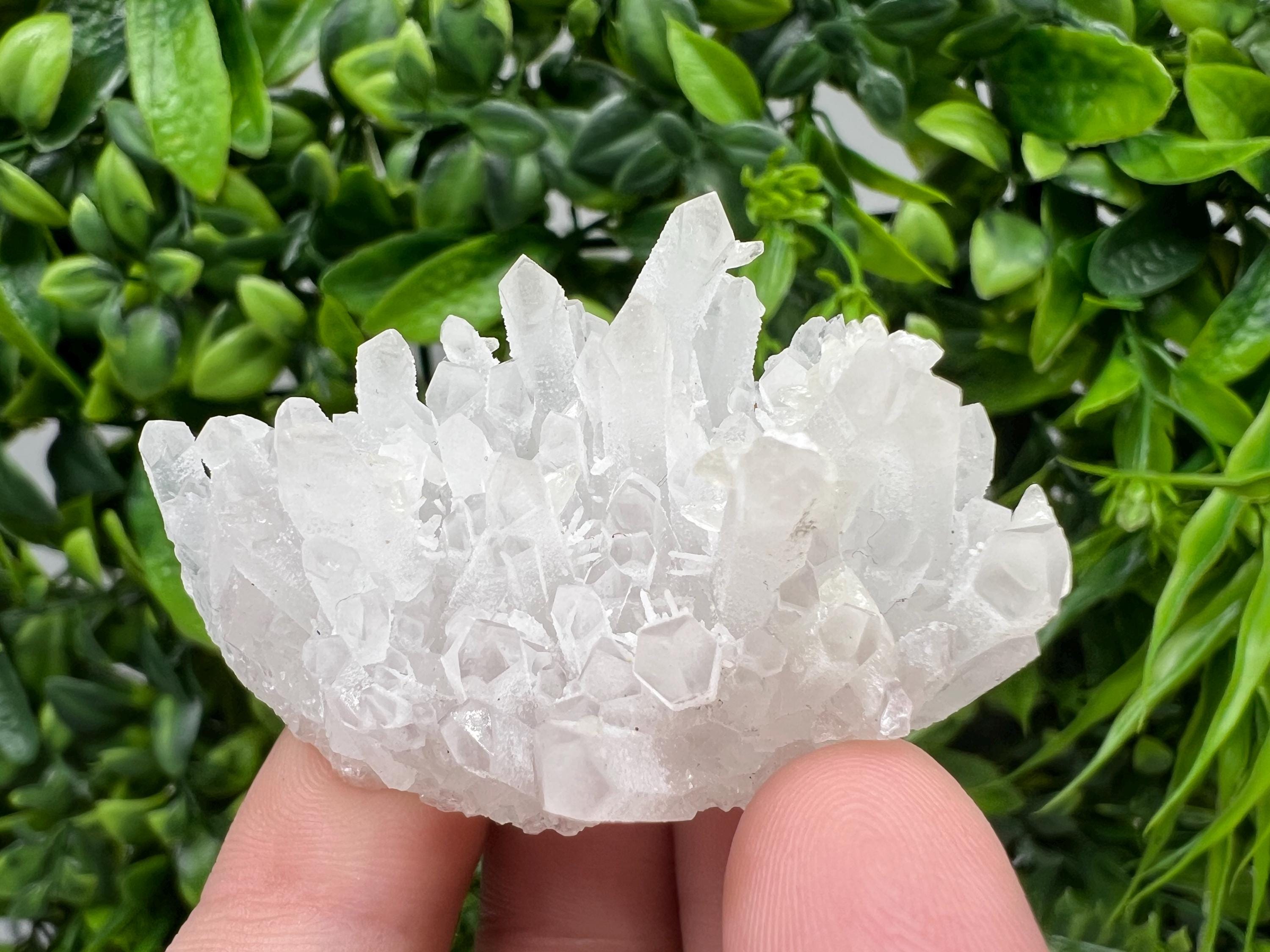 Transparent Quartz on Chlorite Matrix, Borieva Mine, Bulgaria