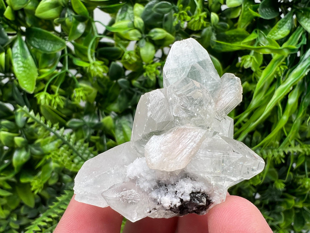 Transparent Apophyllite on Chalcedony, India Minerals Specimen