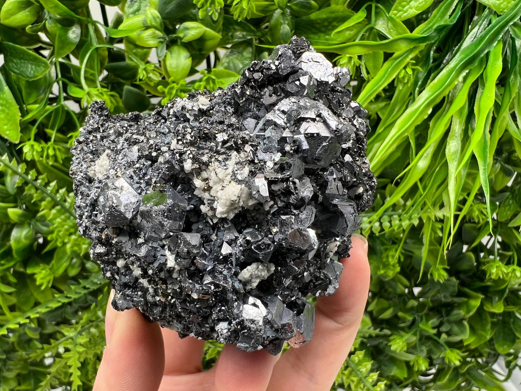 Galena Spinel Law on Sphalerite, Madan Bulgaria Mineral Specimen