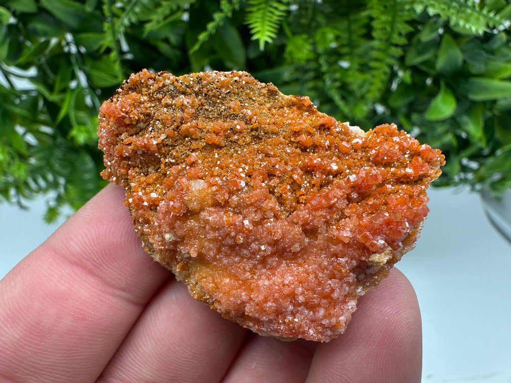 Red Vanadinite on Barite from Marocco,crystal minerals Speciment cluster Vanadinite crystal Vanadinite Geology Vanadinite cluster minerals