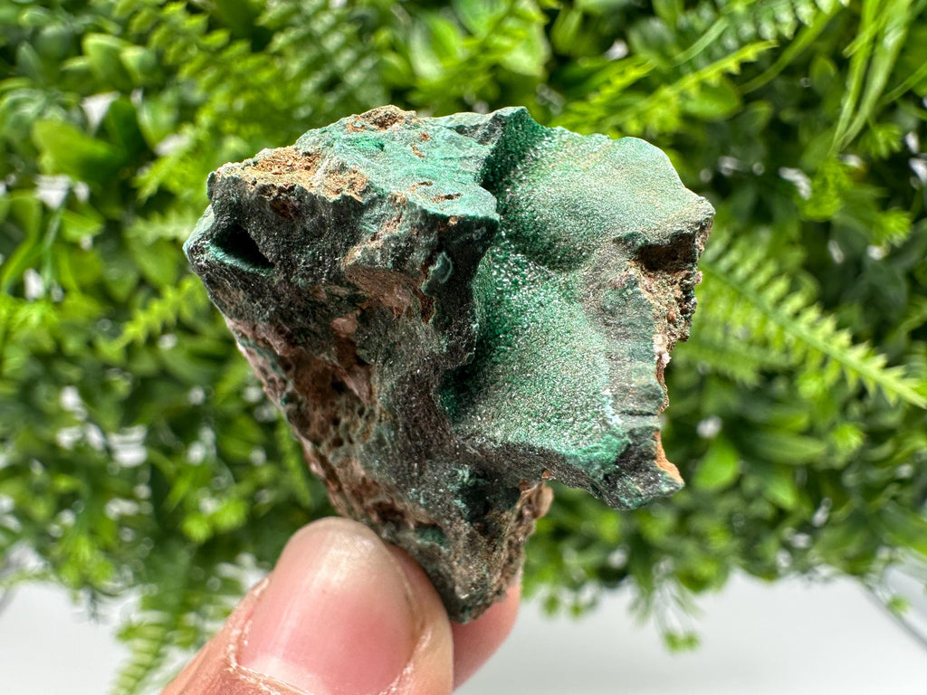 Malachite Crystal from Congo,Minerals,Crystals from Congo,Green Malachite, Malachite,Natural Malachite,Malachite Stone,Chakra, Specimens