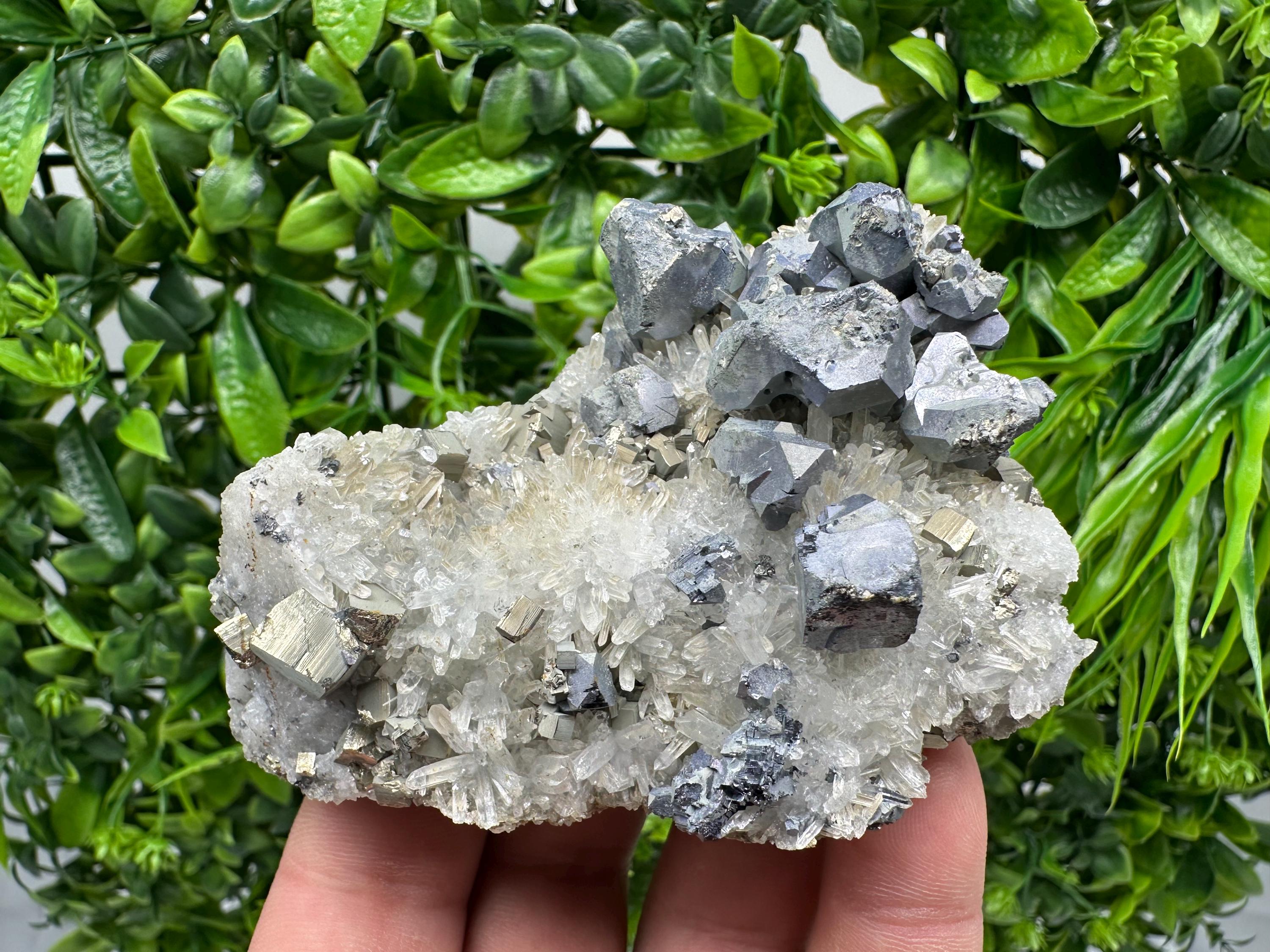 Galena Sphalerite Chalcopyrite Quartz Mineral Specimen: Djurcovo Mine, Bulgaria