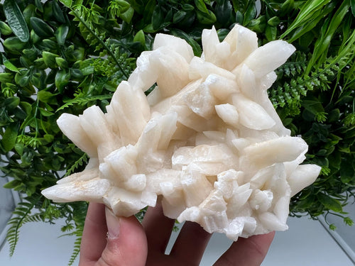 Calcite on Green Quartz: Djurkovo Mine, Bulgaria