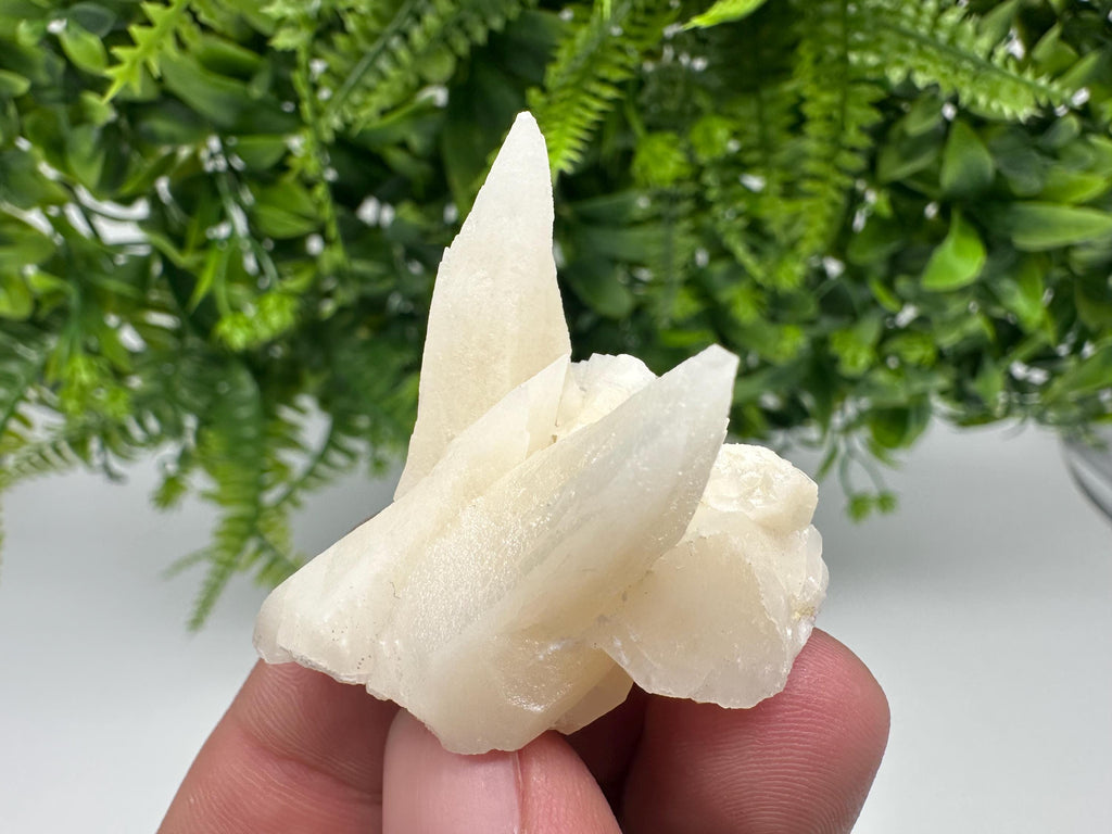 Calcite on Aragonite: Djurcovo Mine, Bulgaria Crystal