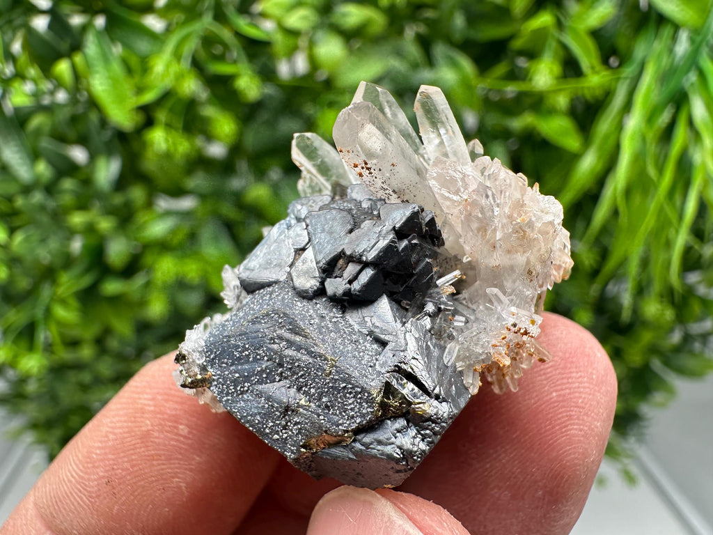 Wonderful Sphalerite Chalcopyrite on  Quartz whit Hematite feom 9 th September mine,Bulgaria,natural,collection mineral specimen,gift