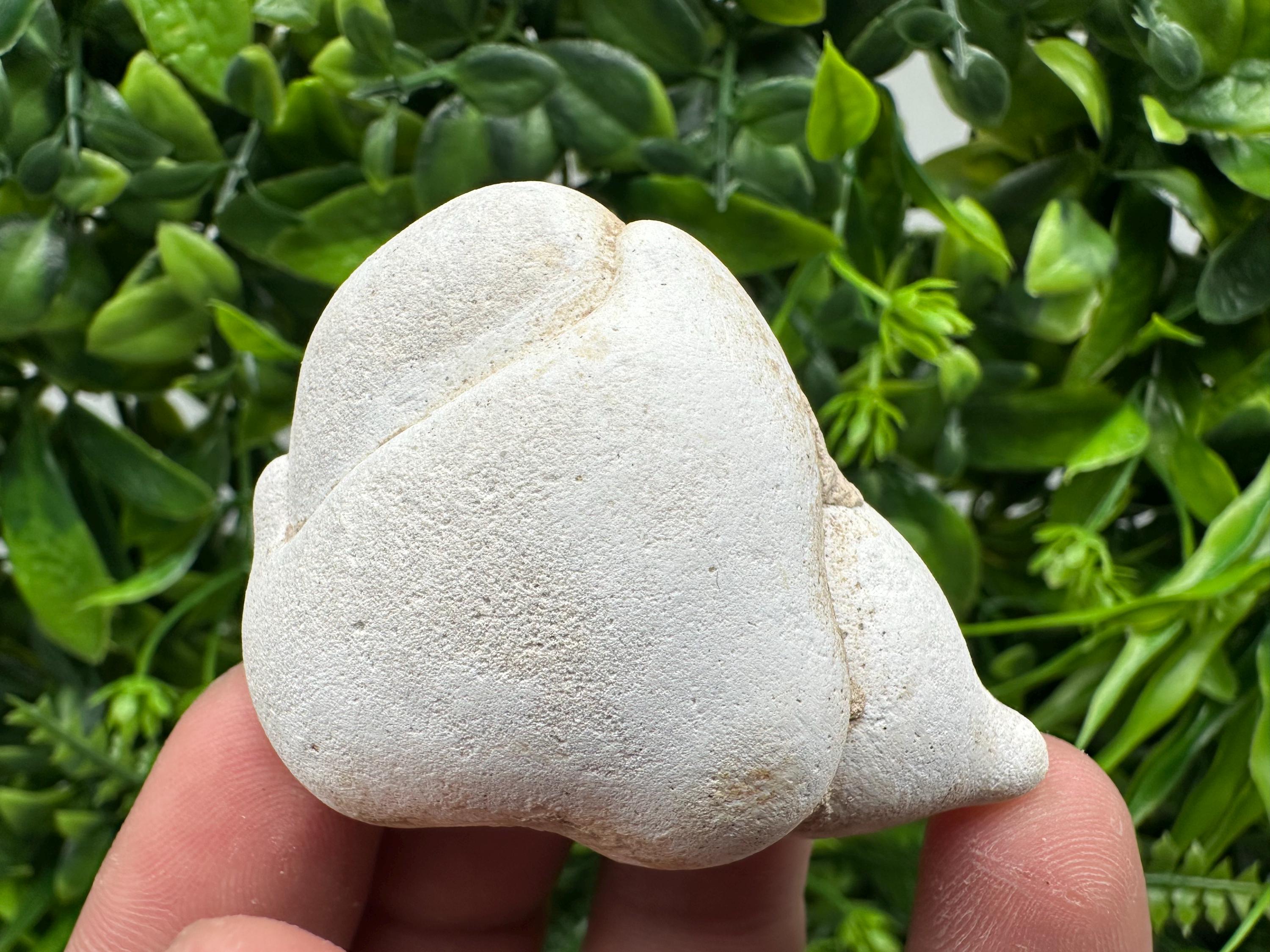 Menalite Crystal: White Fairy Stone, Moroccan A+ Grade
