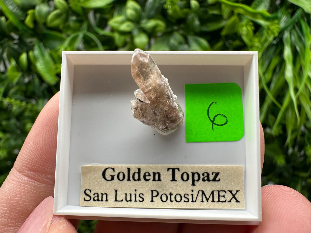 Golden Topaz Crystal, Mineral Specimen from Mexico