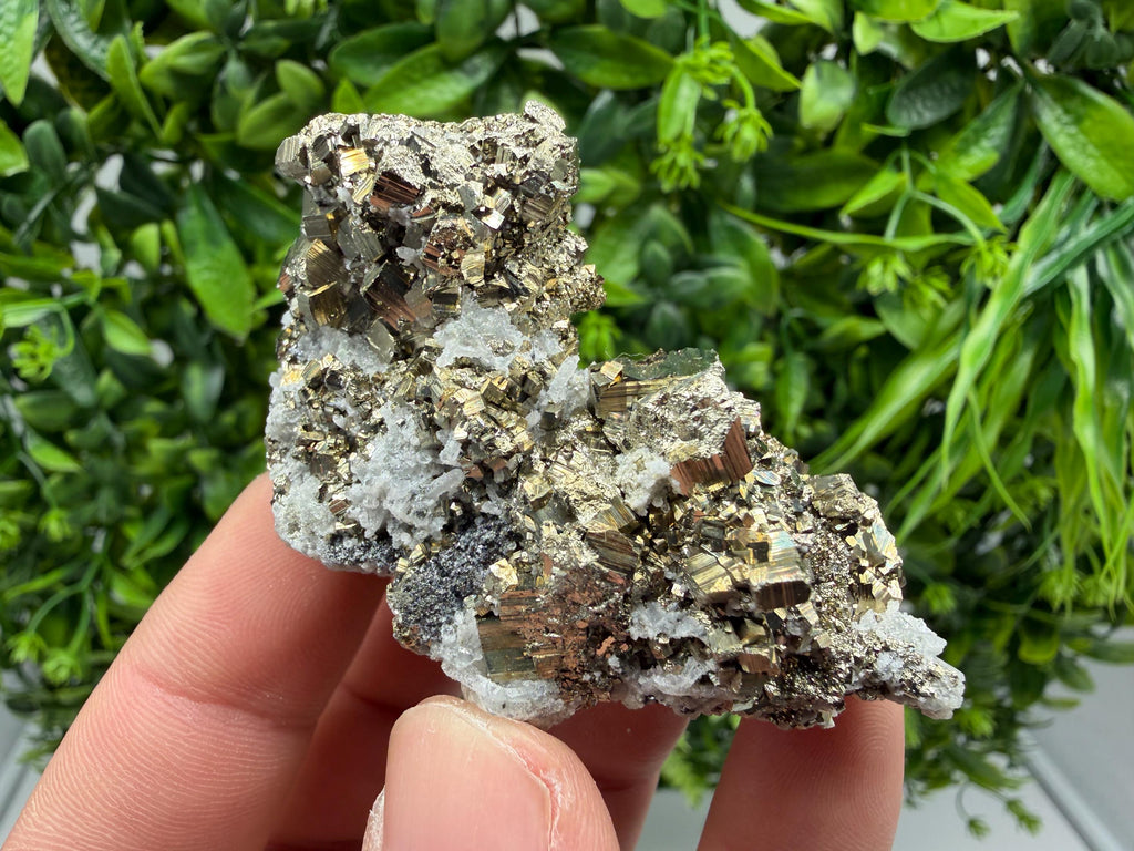 Pyrite Sphalerite Quartz  Mineral Specimen, Krushev dol Mine