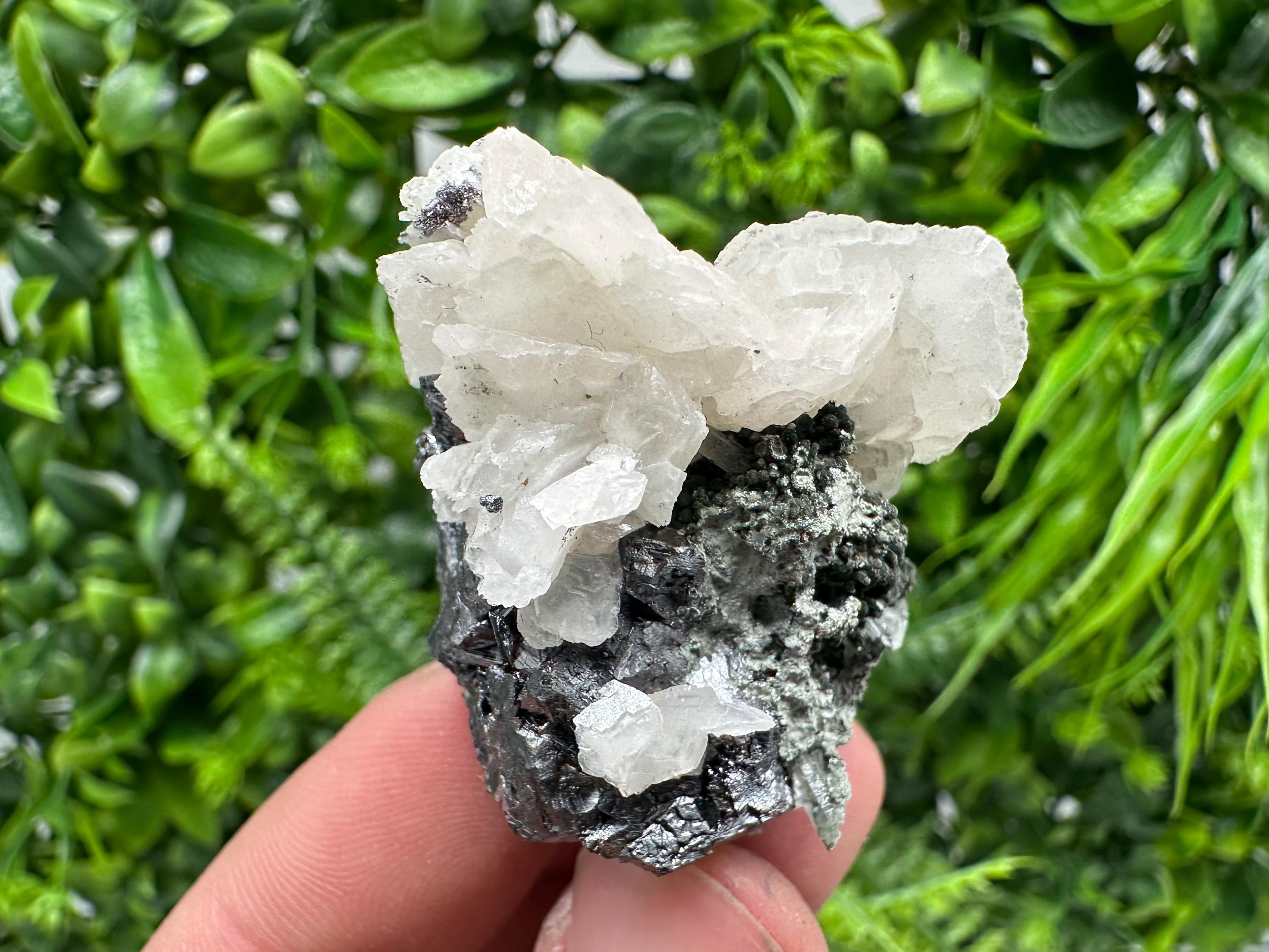 Mirror Galena, Calcite, Sphalerite on Quartz with Chlorite: Collection Mineral