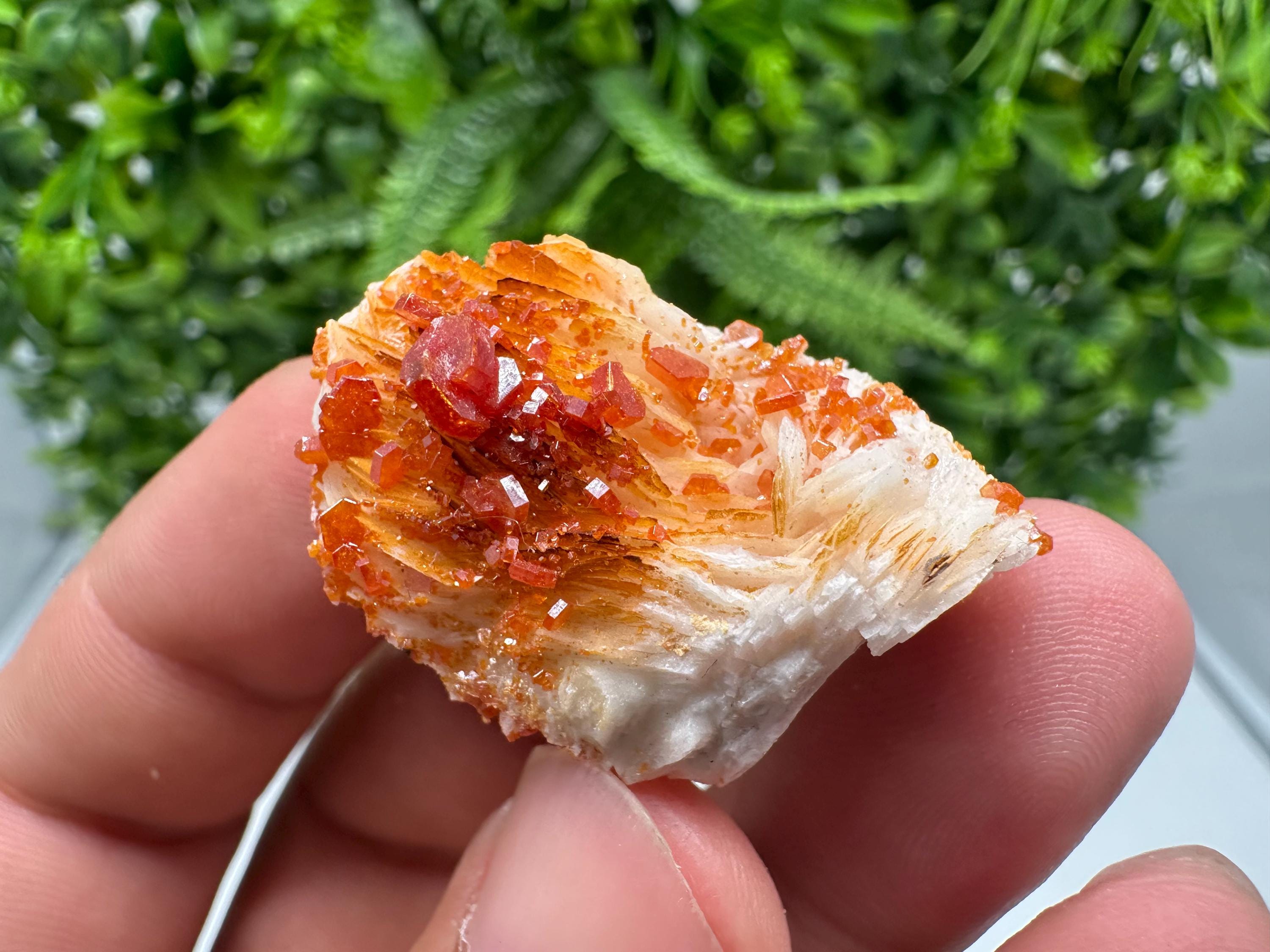 Red Vanadinite on Barite from Marocco,crystal minerals Speciment cluster Vanadinite crystal Vanadinite Geology Vanadinite cluster minerals