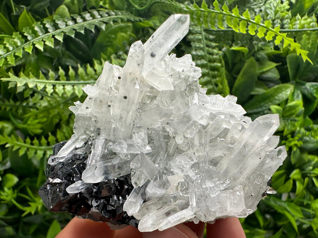 Quartz Cluster with Black Sphalerite, Krushev dol Bulgaria