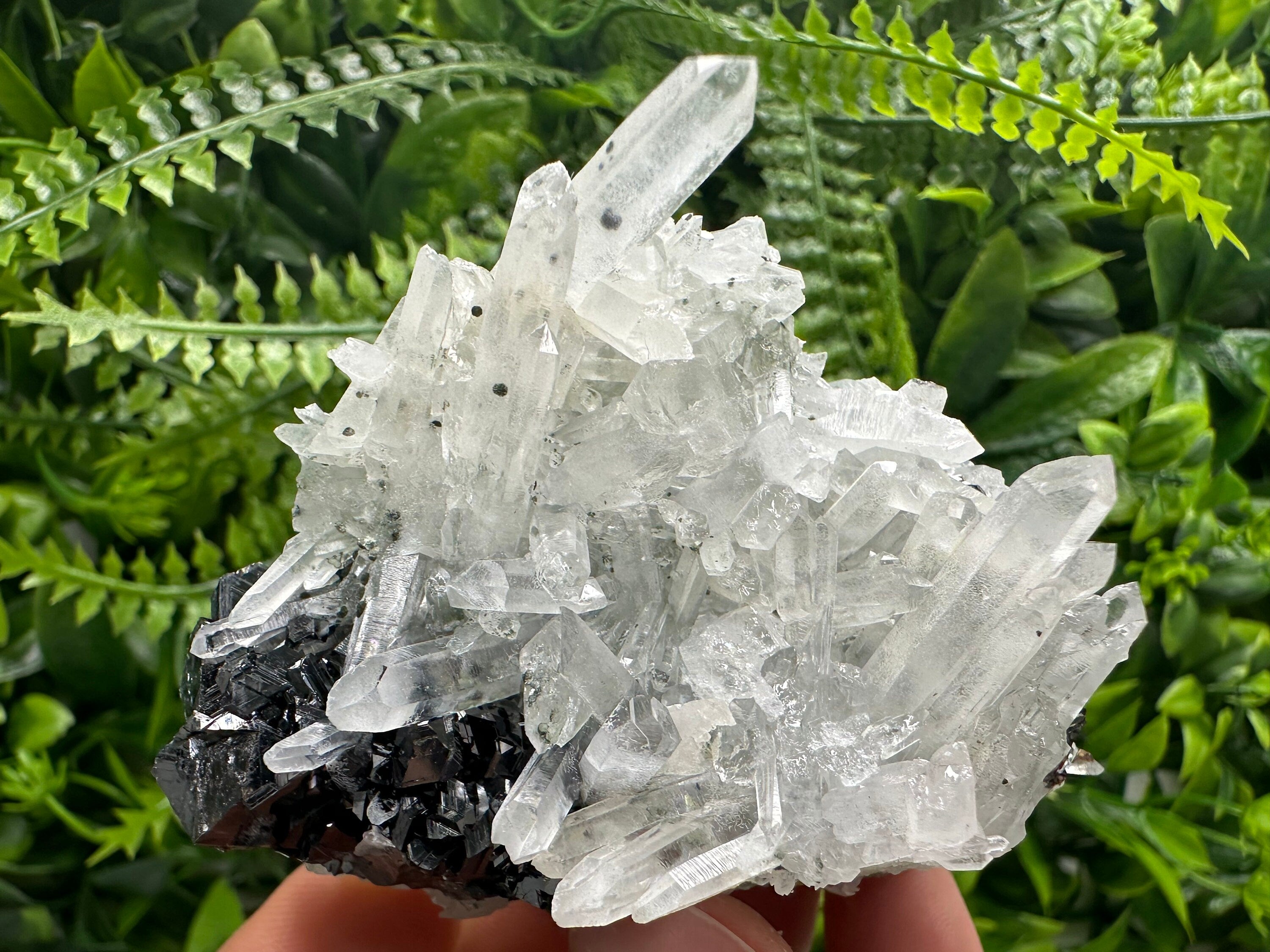 Quartz Cluster with Black Sphalerite, Krushev dol Bulgaria