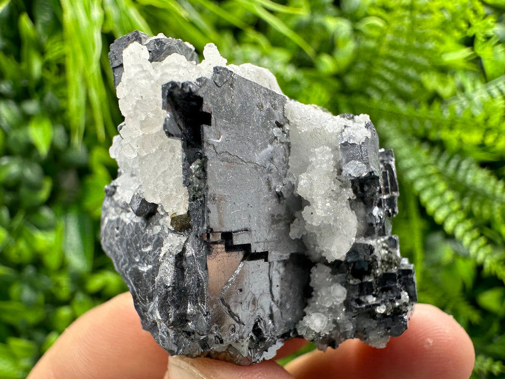 Galena with Calcite: Natural Mineral Specimen, Borieva Mine, Bulgaria