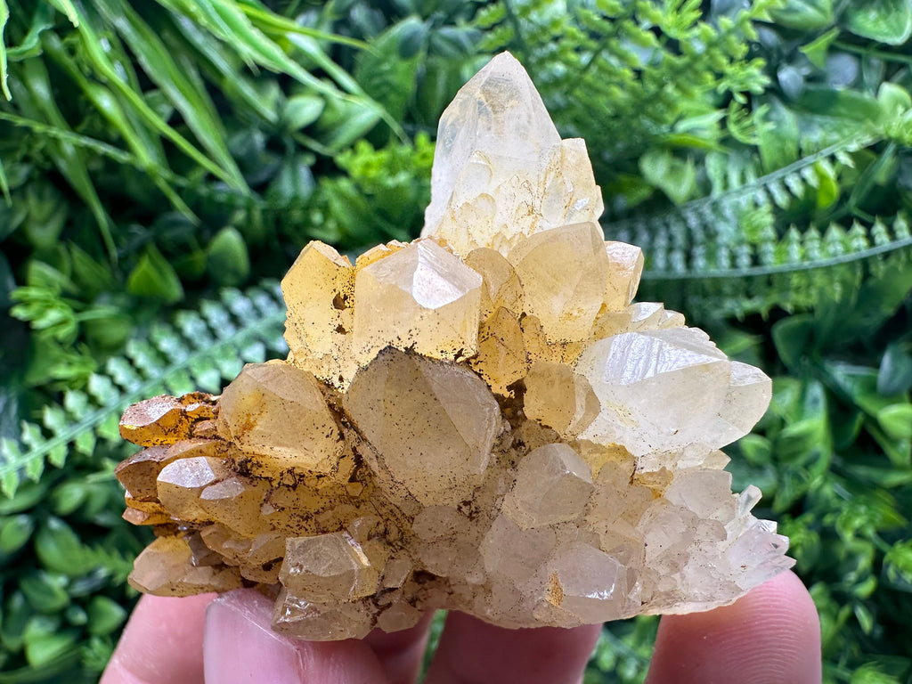 Transparent Quartz Cluster: Natural Mineral Specimen, Bulgaria