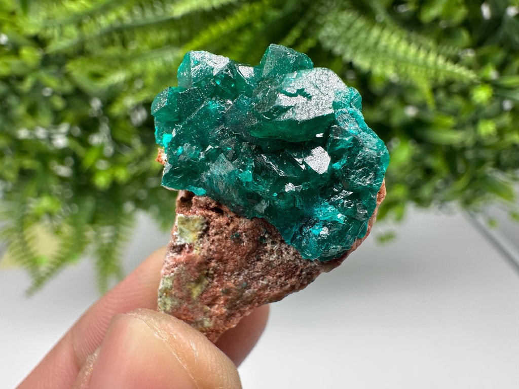 Stunning Green Dioptase from Sanda Hills,Mindouli,Pool Department,Mindouli District,Congo,green Dioptase,Dioptas Crystal,Dioptase collecting