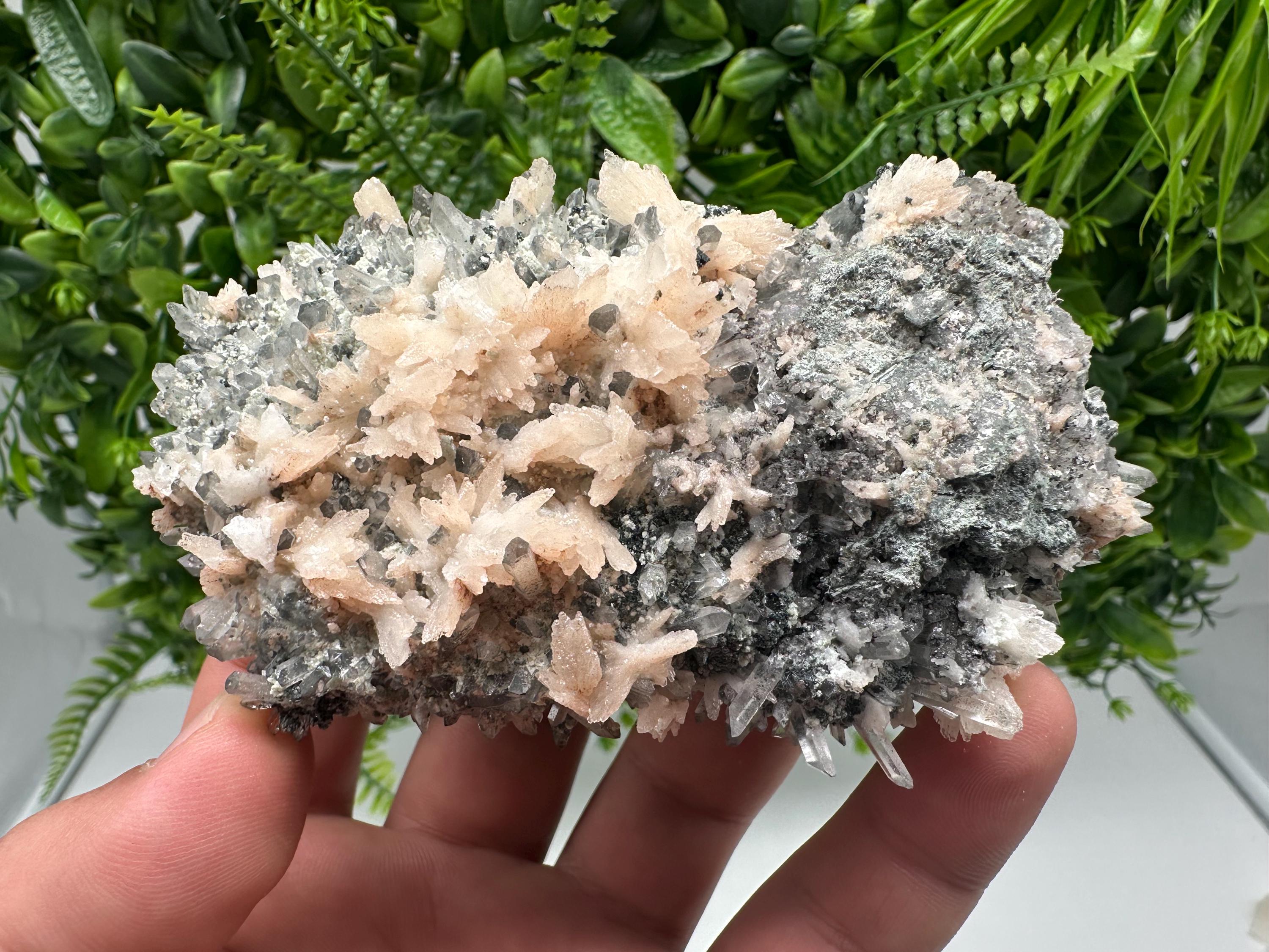 Calcite on Green Quartz: Djurcovo Mine, Bulgaria Crystal