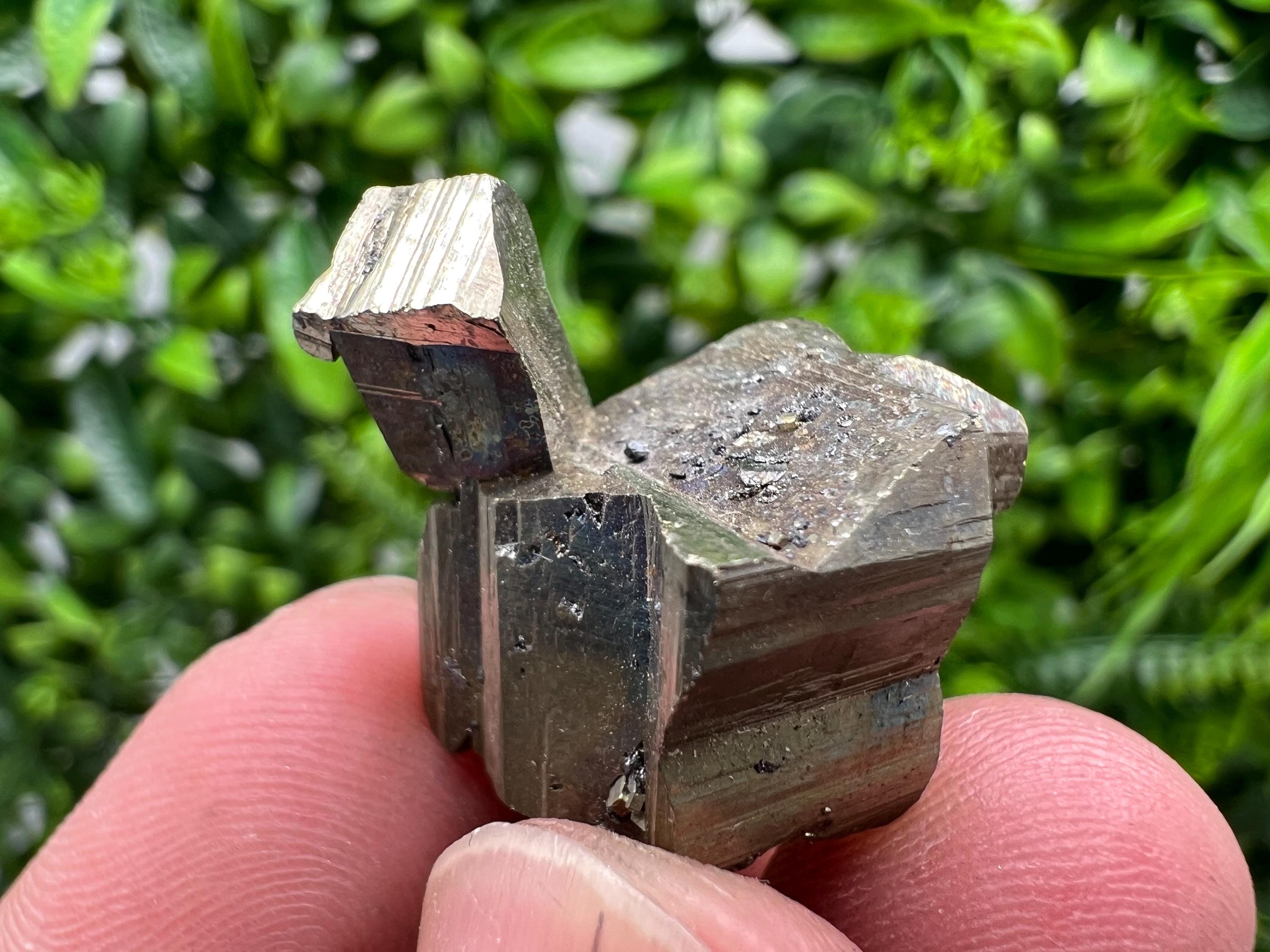 Mini Rare crystallisation Pyrite,Borieva mine,Bulgaria,floating Pyrite,golden Pyrite,Pyrite cluster,mini Collection specimen,Rainbow Pyrite