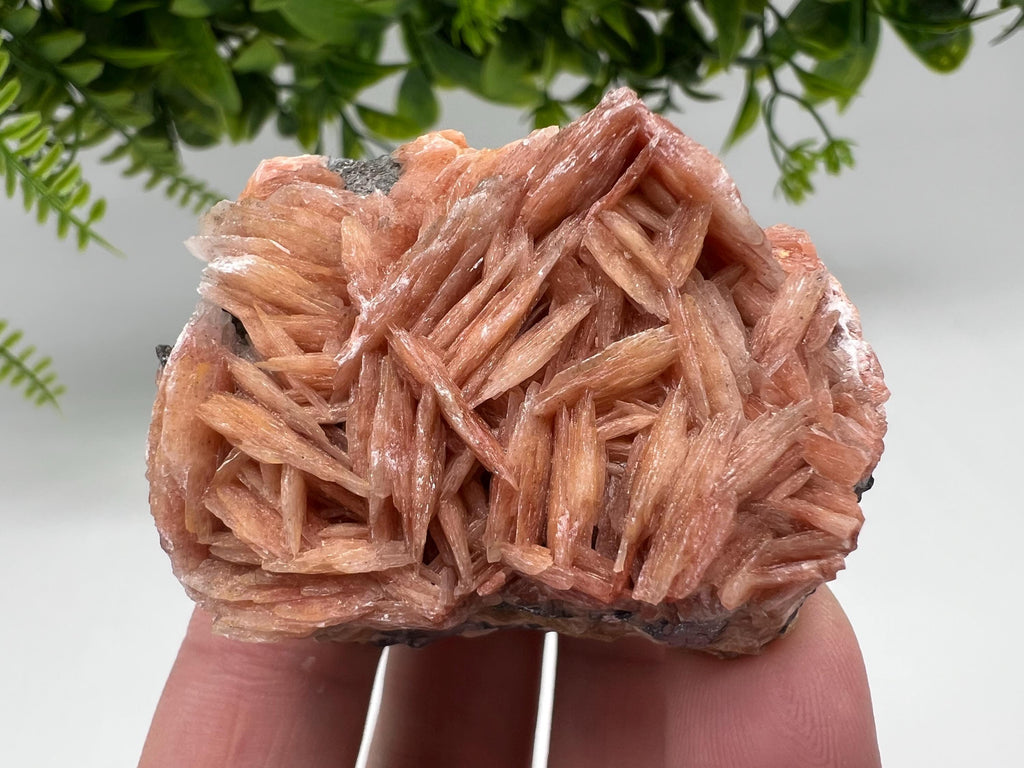 Wonderful Baryte with Cerussite on Galena from Morocco,Crystal, Mineral,Specimen,Cluster,Crystals,Barite Crystal,Cerussite Crystal,Specimen