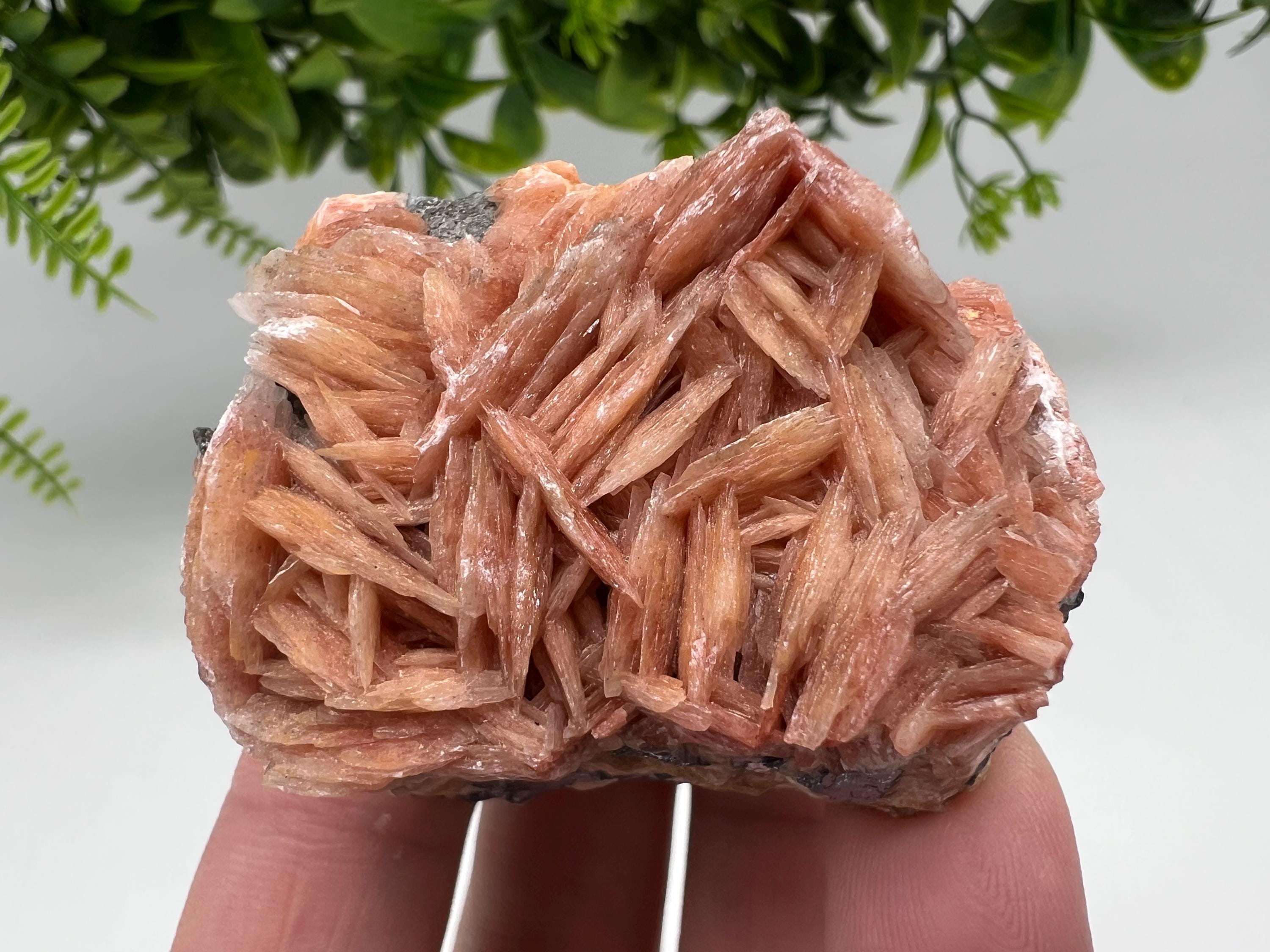 Wonderful Baryte with Cerussite on Galena from Morocco,Crystal, Mineral,Specimen,Cluster,Crystals,Barite Crystal,Cerussite Crystal,Specimen