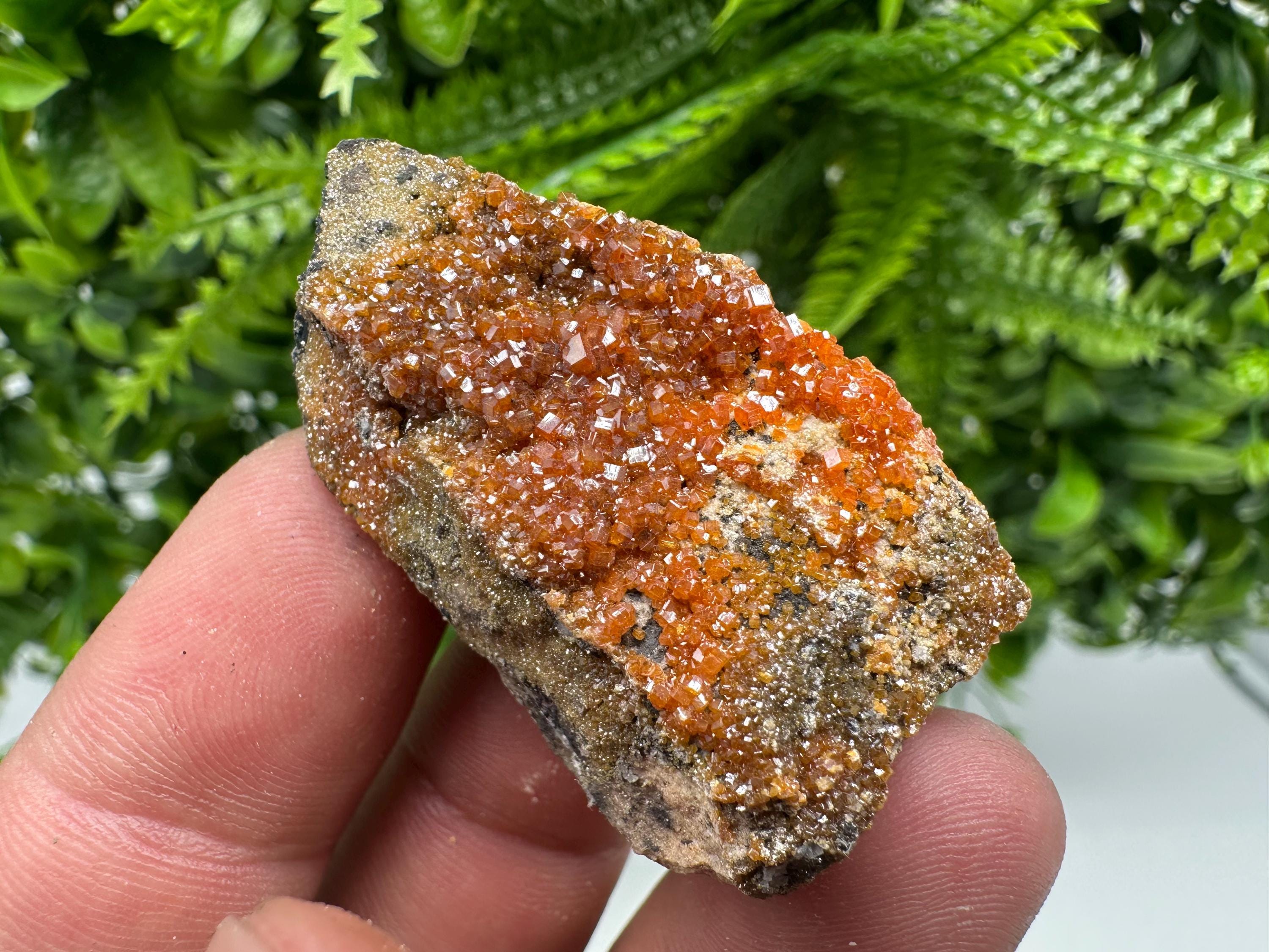 Red Vanadinite Crystal Cluster on Matrix, Morocco Mineral Specimen