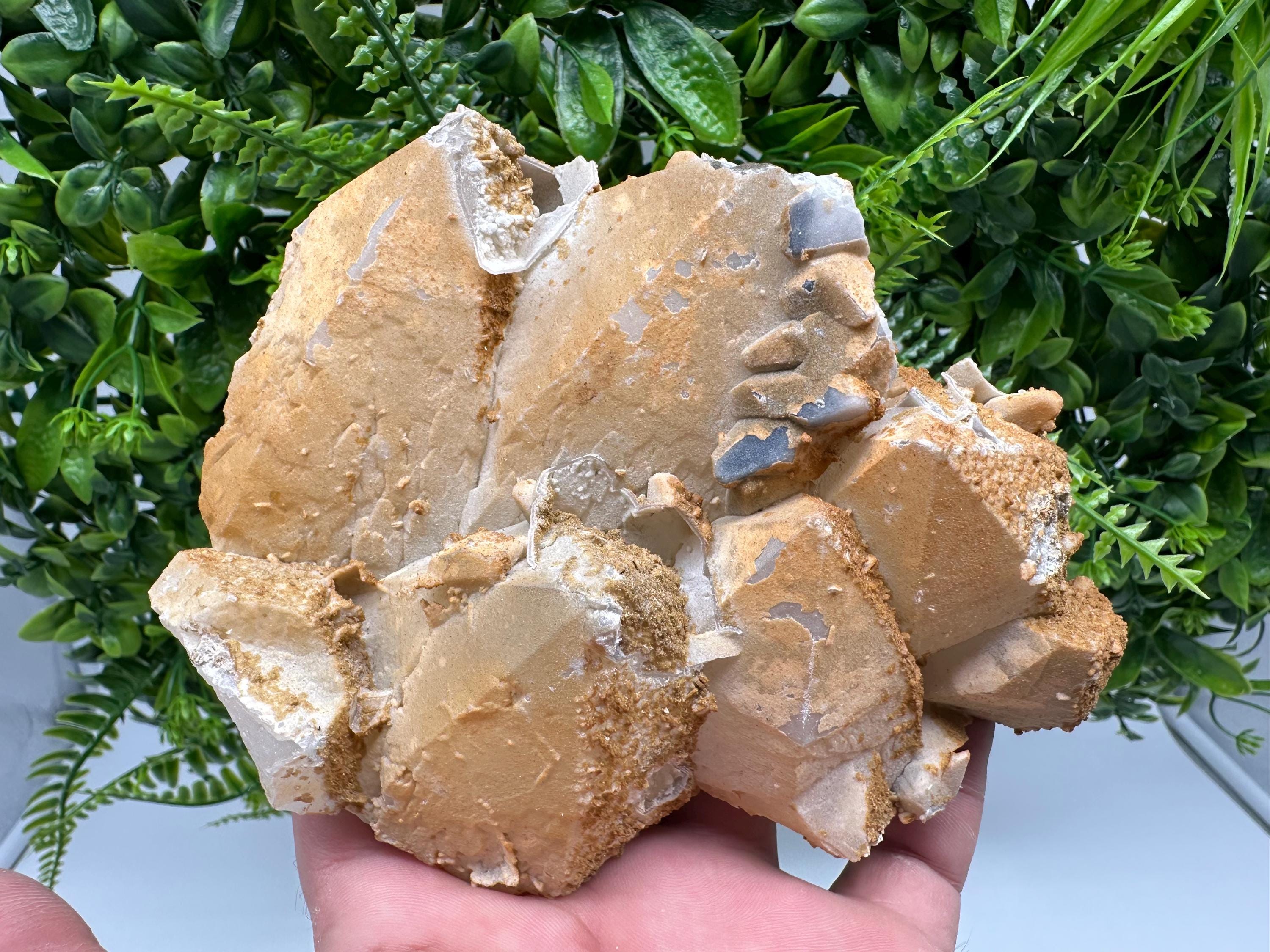 Limonite Coated Quartz Crystal, Djurcovo Mine, Bulgaria