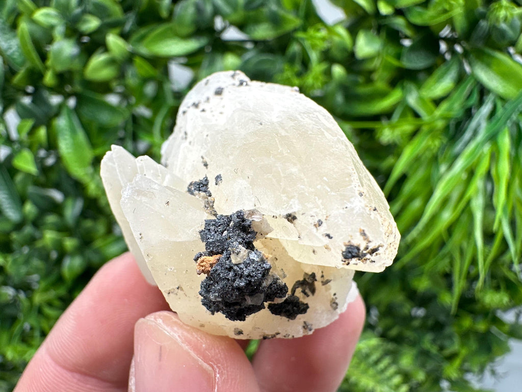 Calcite on Aragonite: Djurcovo Mine, Bulgaria Crystal