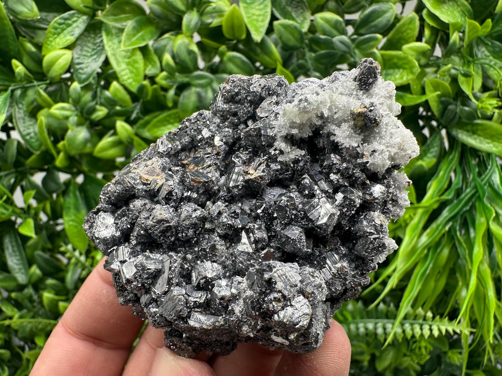 Sphalerite on Green Quartz, Madan Bulgaria, Mineral Specimen