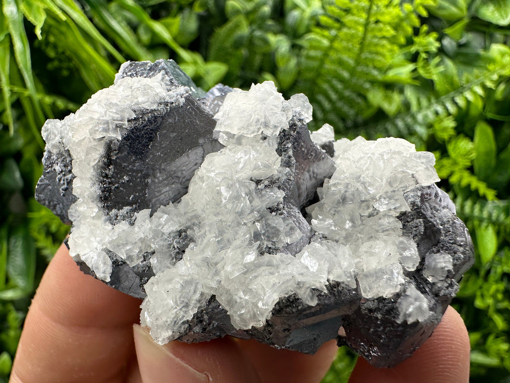 Galena with Calcite Cluster, Batantci Mine Mineral Specimen