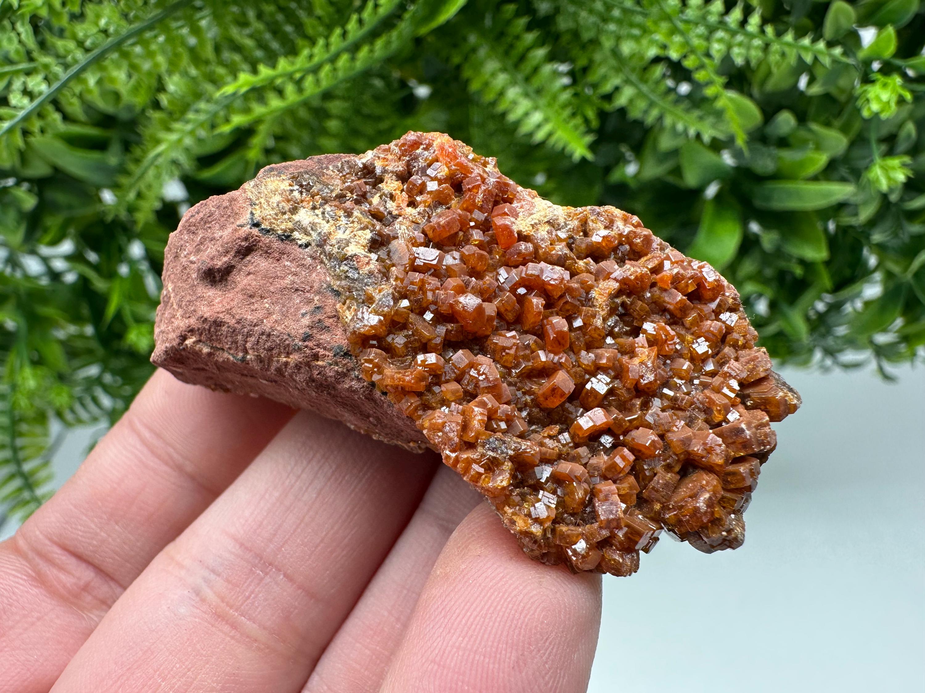 Red Vanadinite on Matrix from Marocco,crystal minerals Speciment cluster Vanadinite crystal Vanadinite Geology Vanadinite cluster minerals