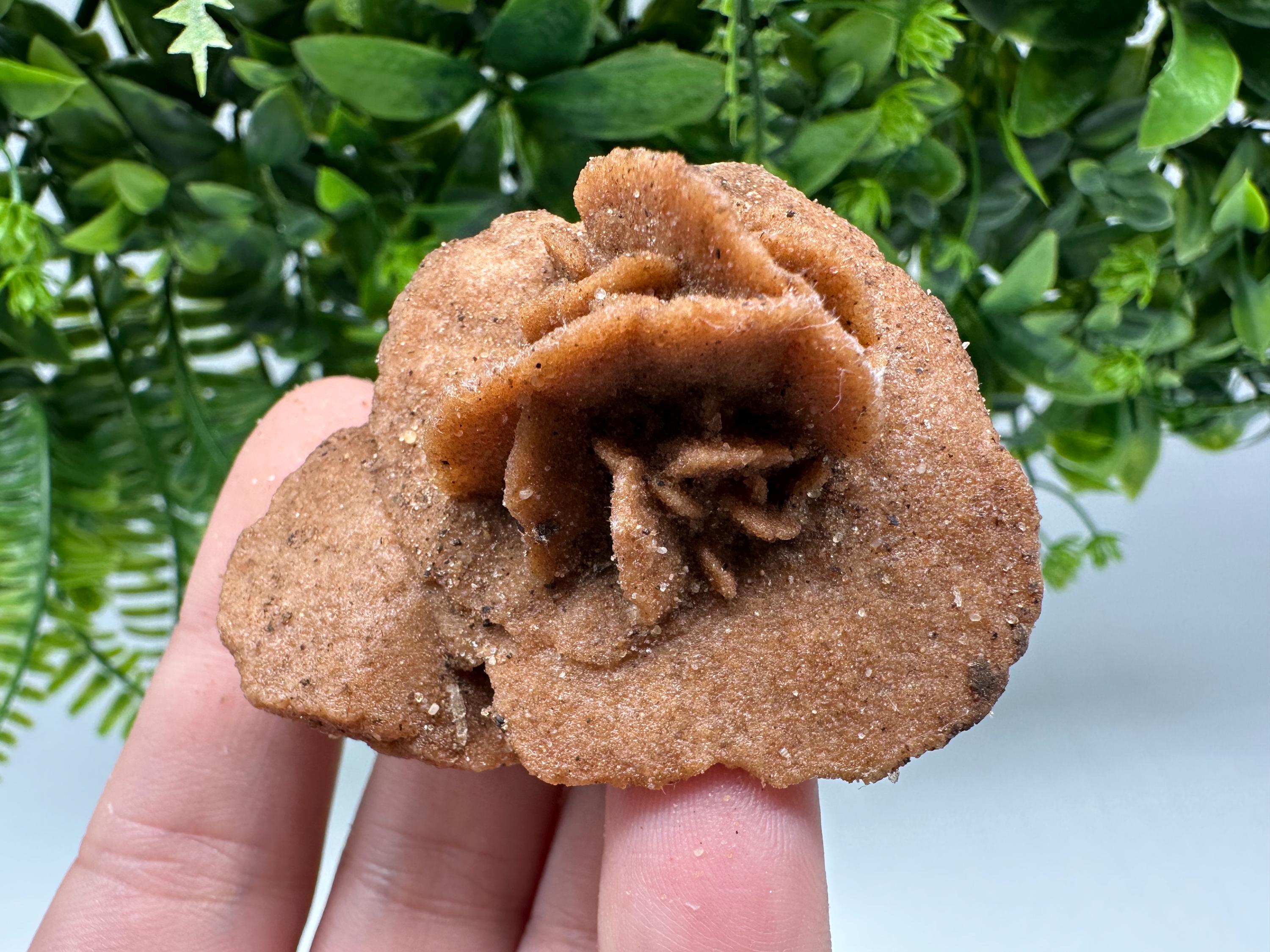 Desert Rose Crystal: Root Chakra Healing Selenite Stone