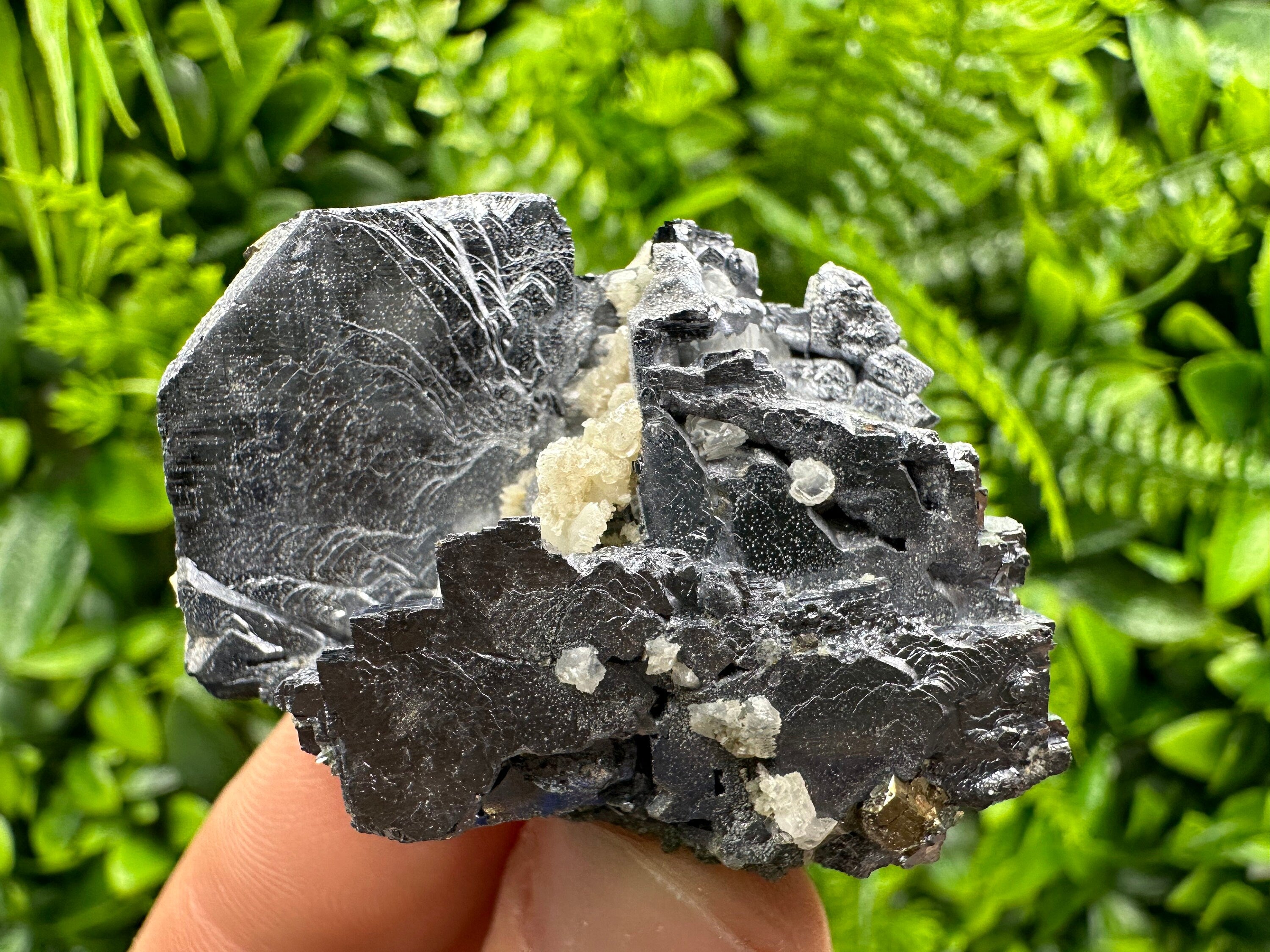 Galena Cluster: Shiny Mineral Stone from Borieva Mine, Bulgaria