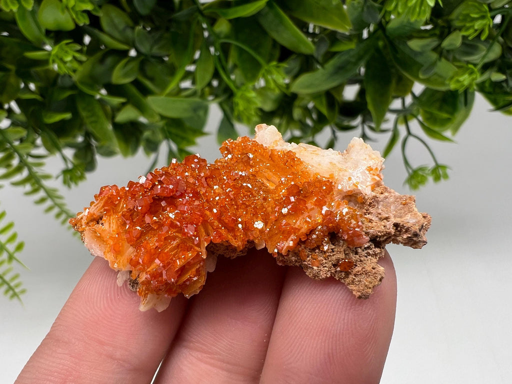 Red Vanadinite on Barite from Marocco,crystal minerals Speciment cluster Vanadinite crystal Vanadinite Geology Vanadinite cluster minerals