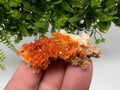 Red Vanadinite on Barite from Marocco,crystal minerals Speciment cluster Vanadinite crystal Vanadinite Geology Vanadinite cluster minerals