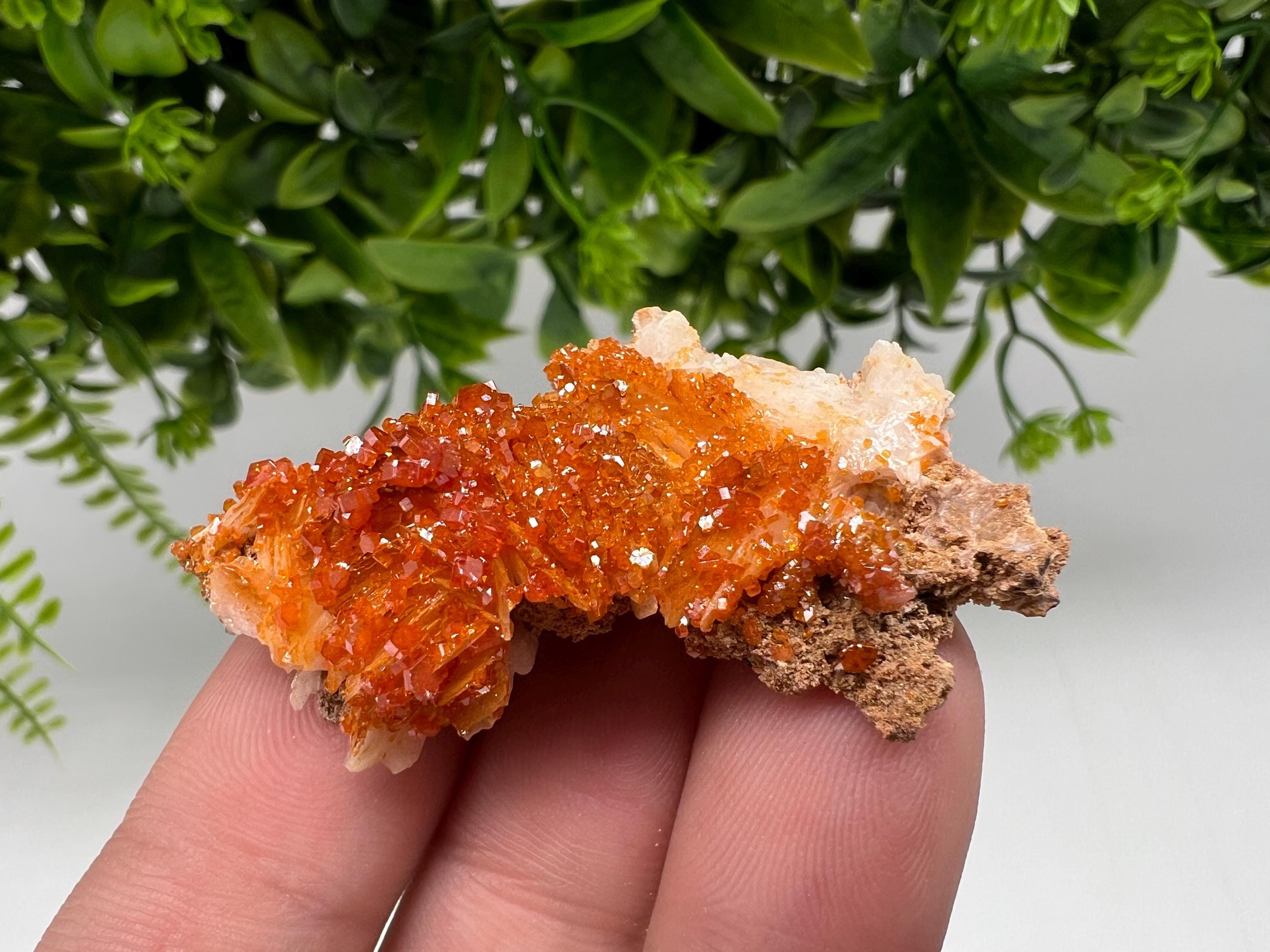 Red Vanadinite on Barite from Marocco,crystal minerals Speciment cluster Vanadinite crystal Vanadinite Geology Vanadinite cluster minerals