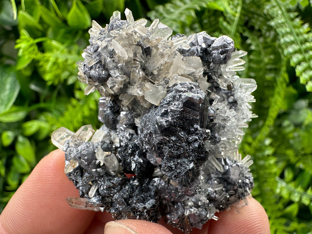 Sphalerite Quartz on Galena Mineral Specimen, Bulgaria