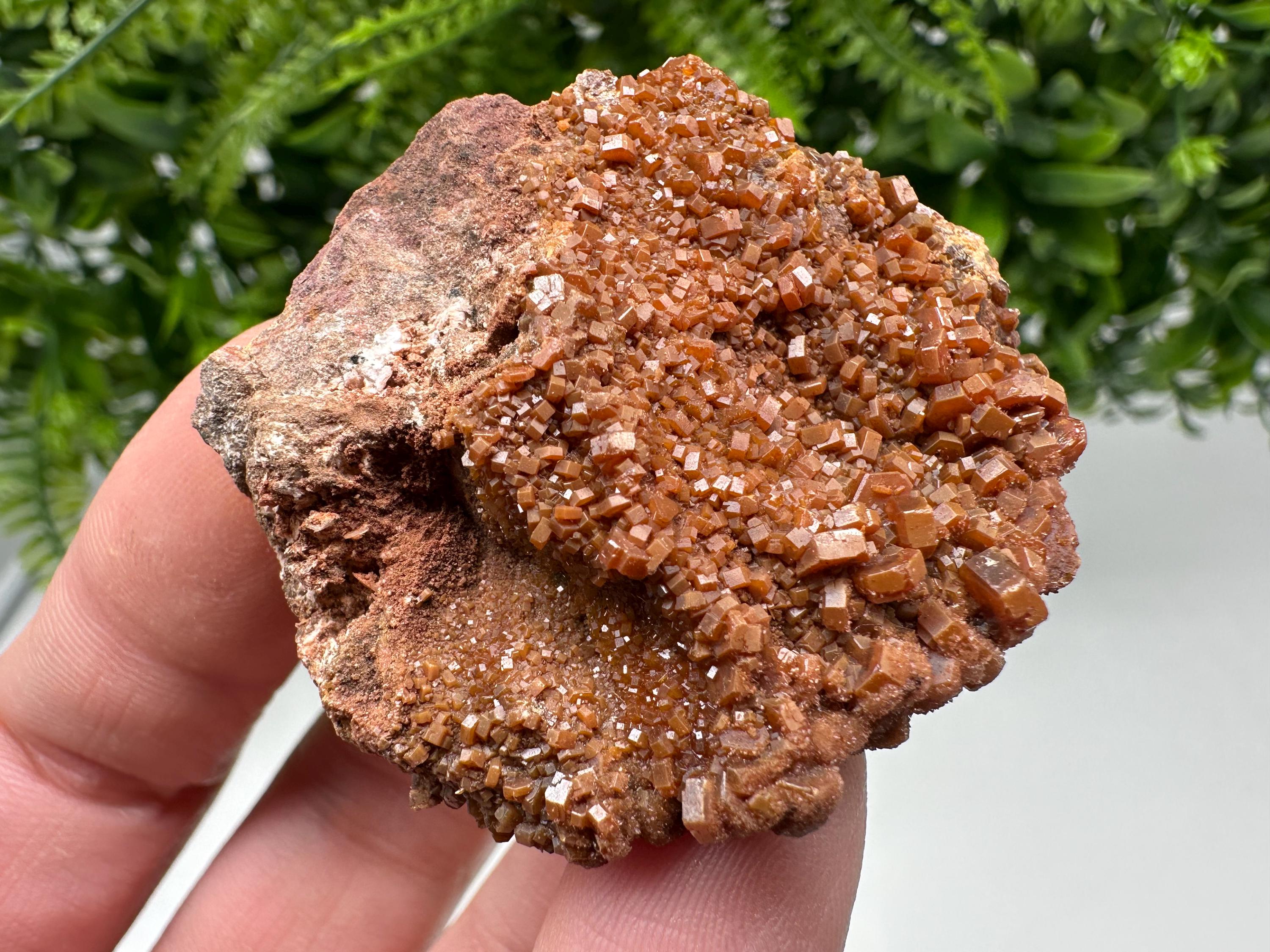 Red Vanadinite on Matrix from Marocco,crystal minerals Speciment cluster Vanadinite crystal Vanadinite Geology Vanadinite cluster minerals