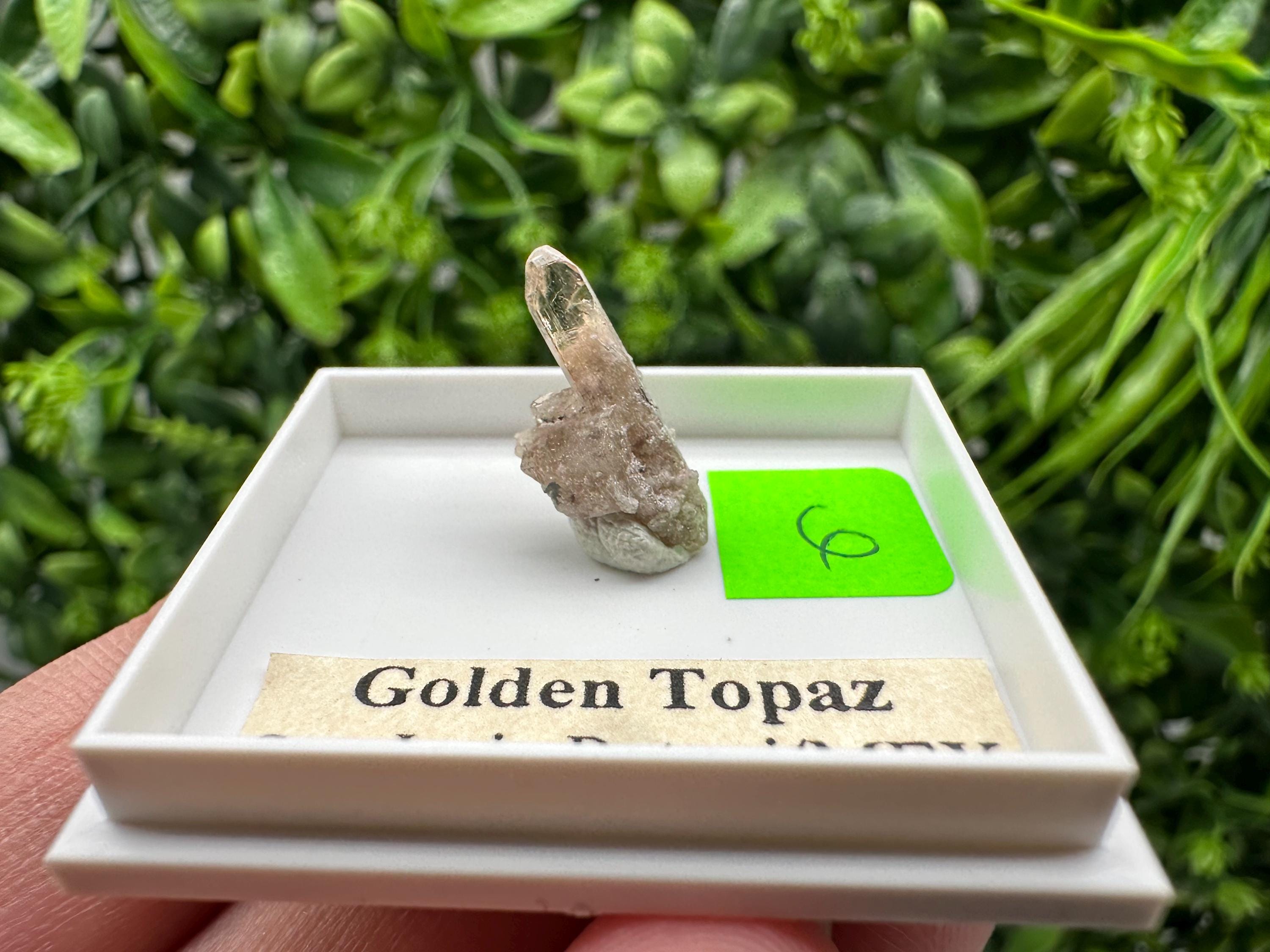 Golden Topaz Crystal, Mineral Specimen from Mexico