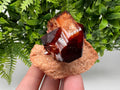 Orange-Brown Arcanite Mineral Specimen, Santa Ana Tin Mine