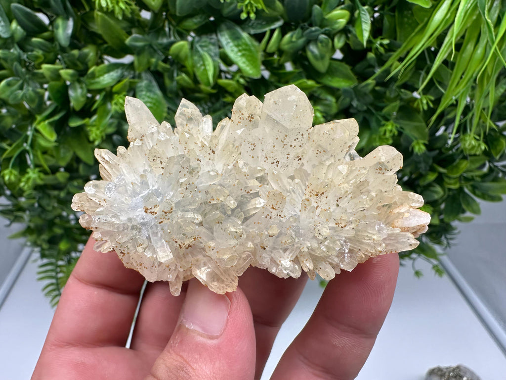 Quartz whit Brown Rhodochrosite from Djurcovo mine,Bulgaria,Quartz,Rhodochrosite cluster,natural mineral,collection crystal,mineral specimen