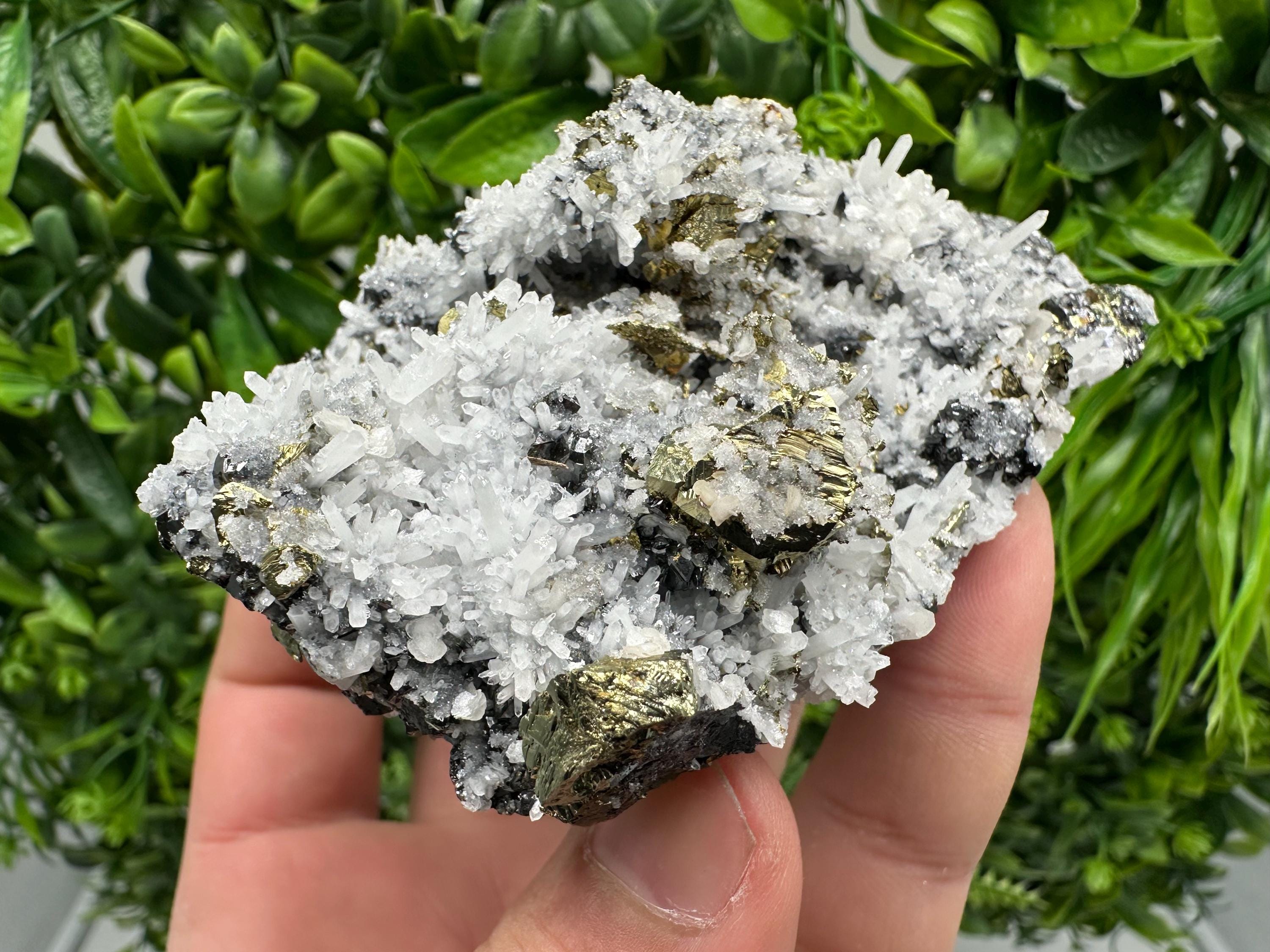 Chalcopyrite on Quartz Crystal: Borieva Mine, Bulgaria