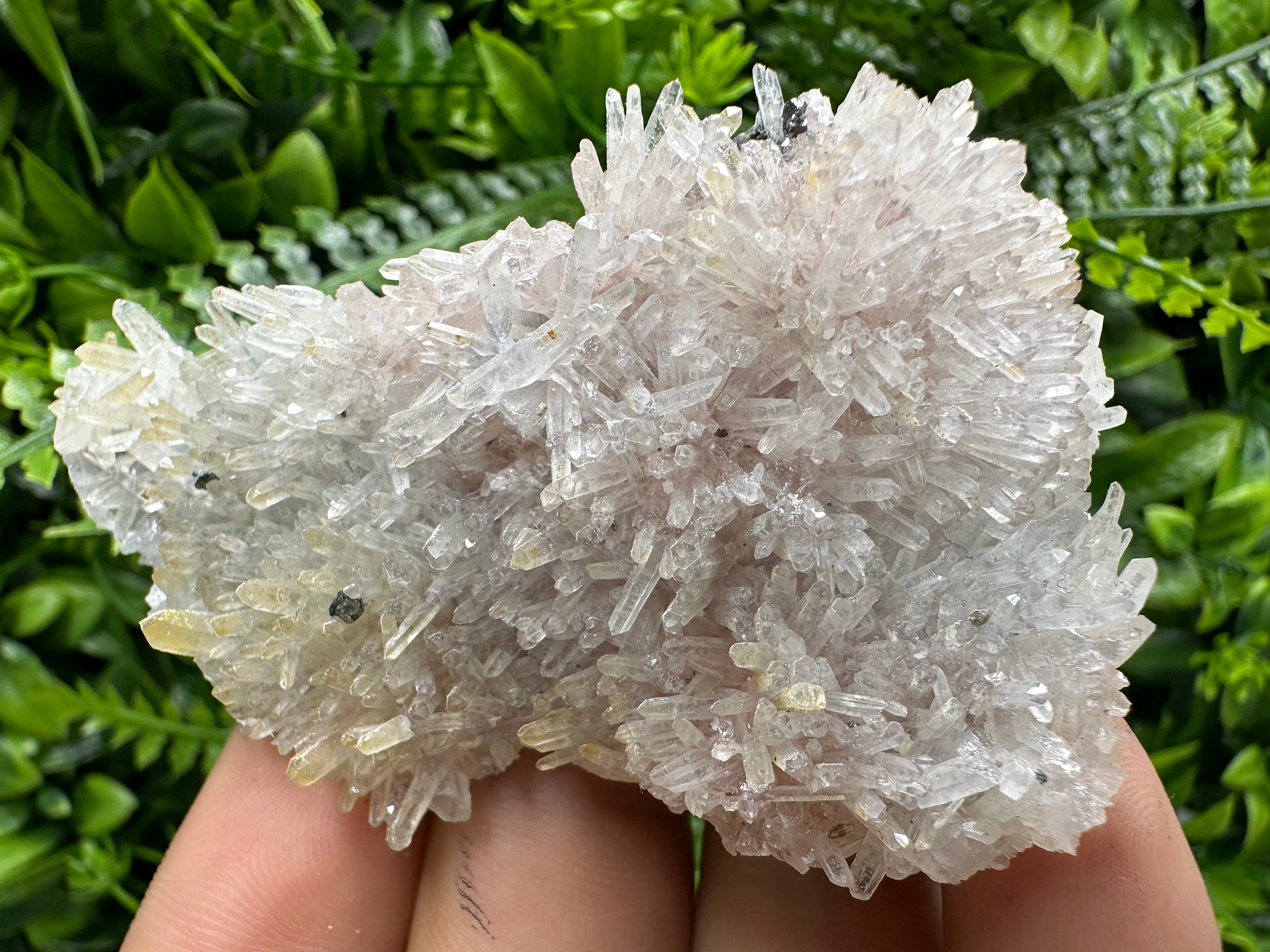 Quartz with Chlorite and Hematite Inclusions: Borieva Mine Crystal Decor