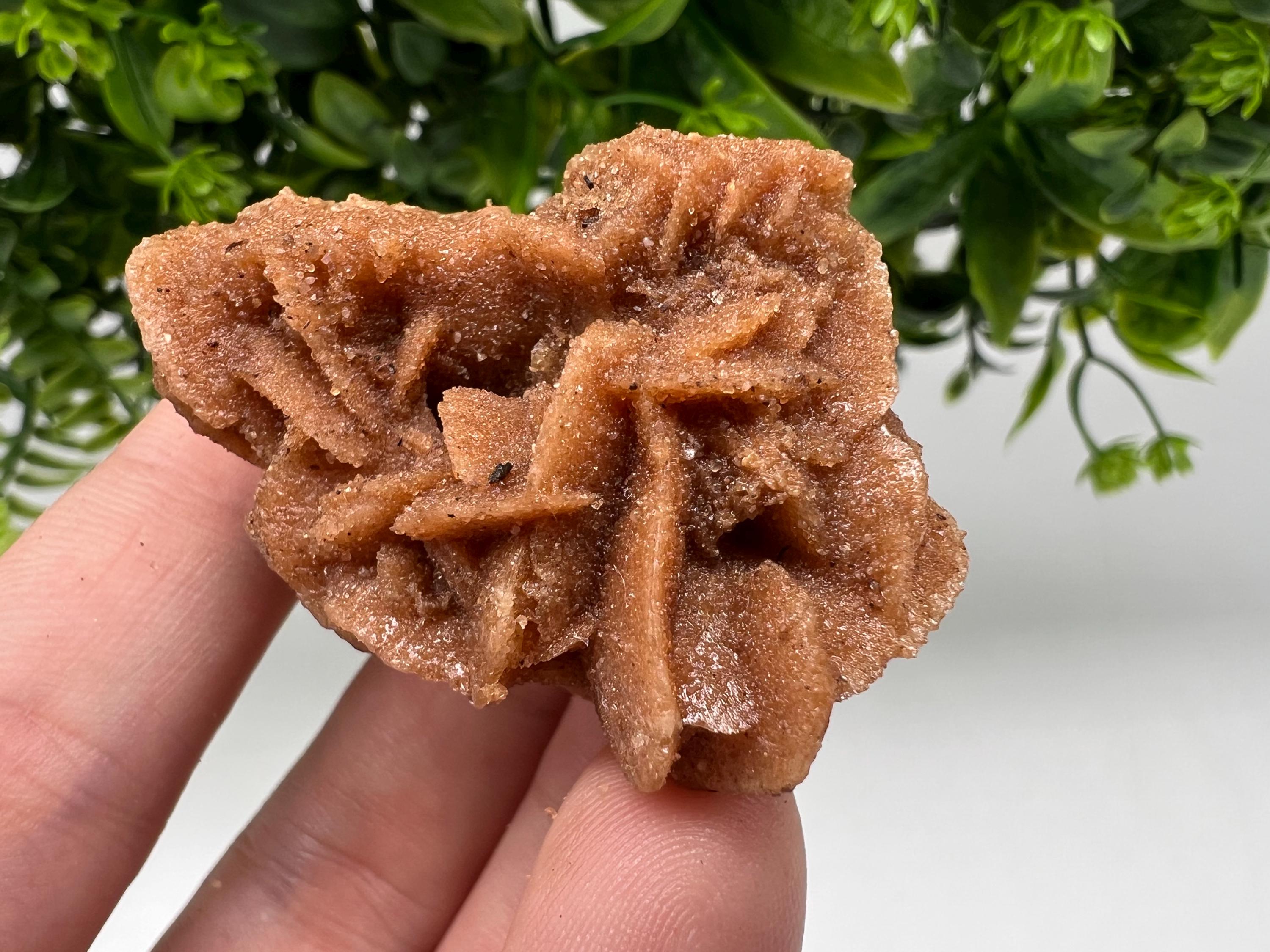 Desert Rose Crystal: Root Chakra Healing Selenite Stone