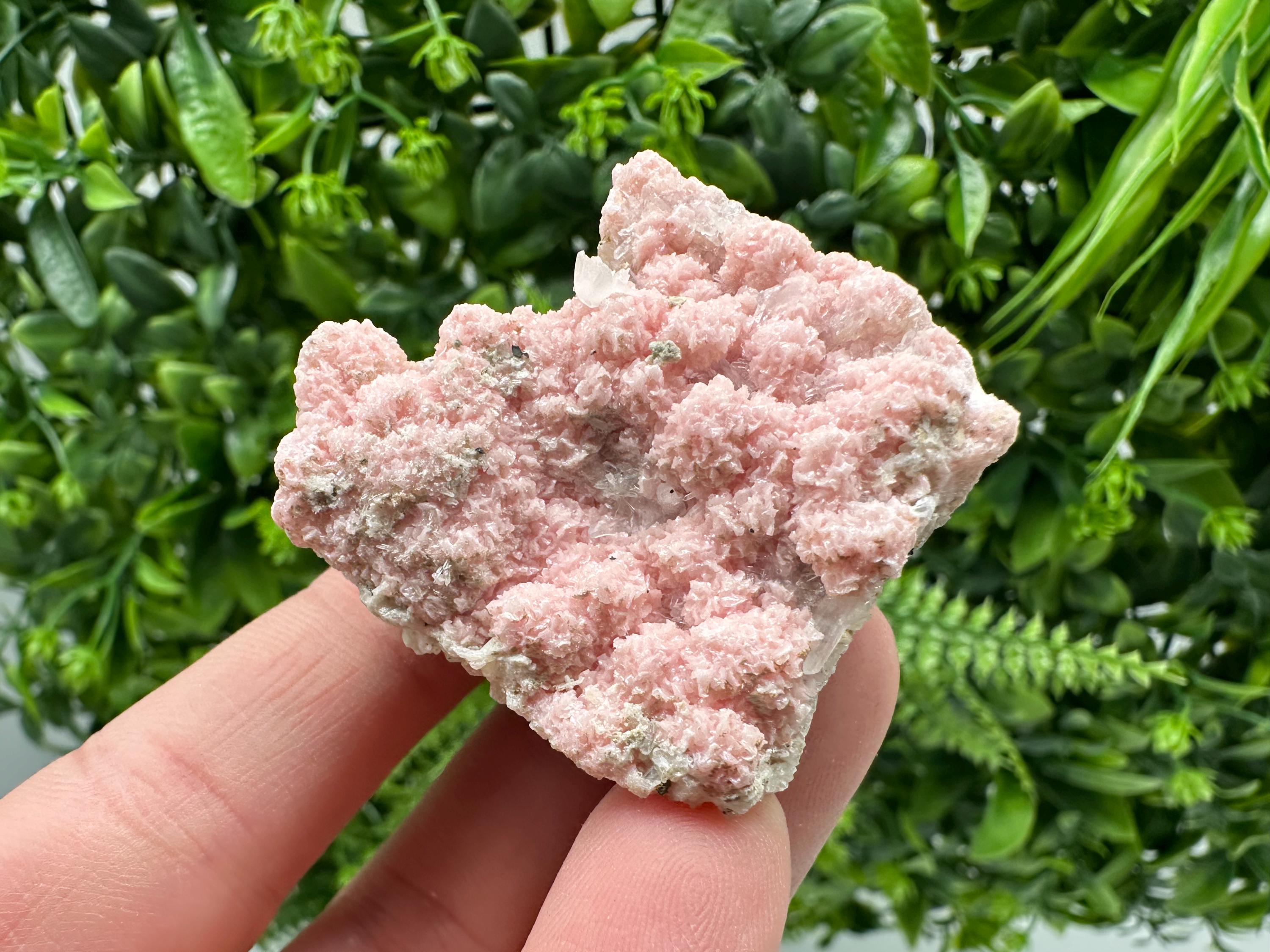 Pink Rhodochrosite Crystal: Starnica Mine, Bulgaria, Home Decor