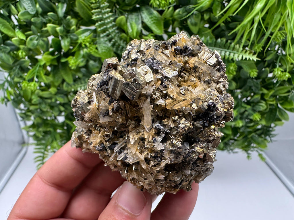 Rainbow Pyrite on Quartz with Oxide, Borieva Bulgaria