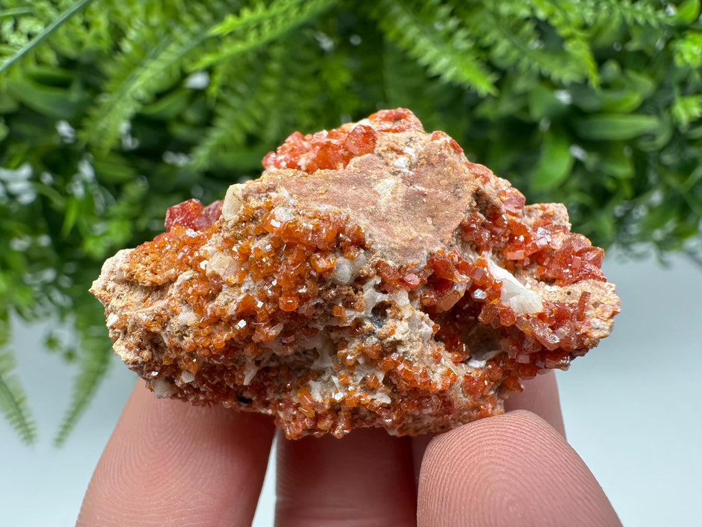 Red Vanadinite on Matrix from Marocco,crystal minerals Speciment cluster Vanadinite crystal Vanadinite Geology Vanadinite cluster minerals
