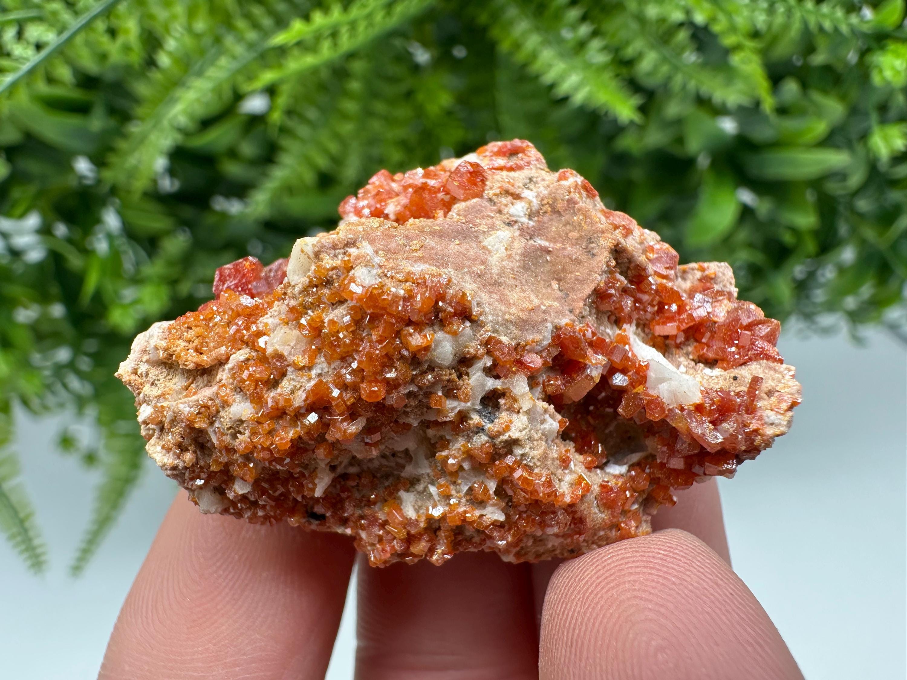 Red Vanadinite on Matrix from Marocco,crystal minerals Speciment cluster Vanadinite crystal Vanadinite Geology Vanadinite cluster minerals