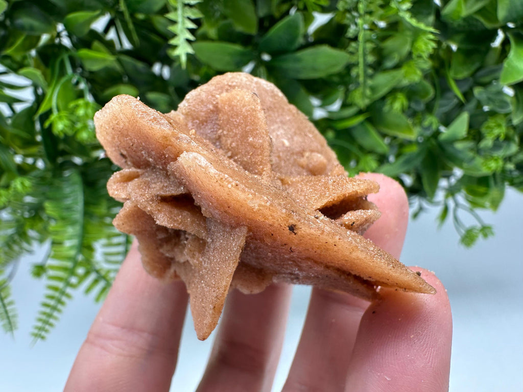 Natural Desert Rose Crystal - Root Chakra Healing Selenite Stone