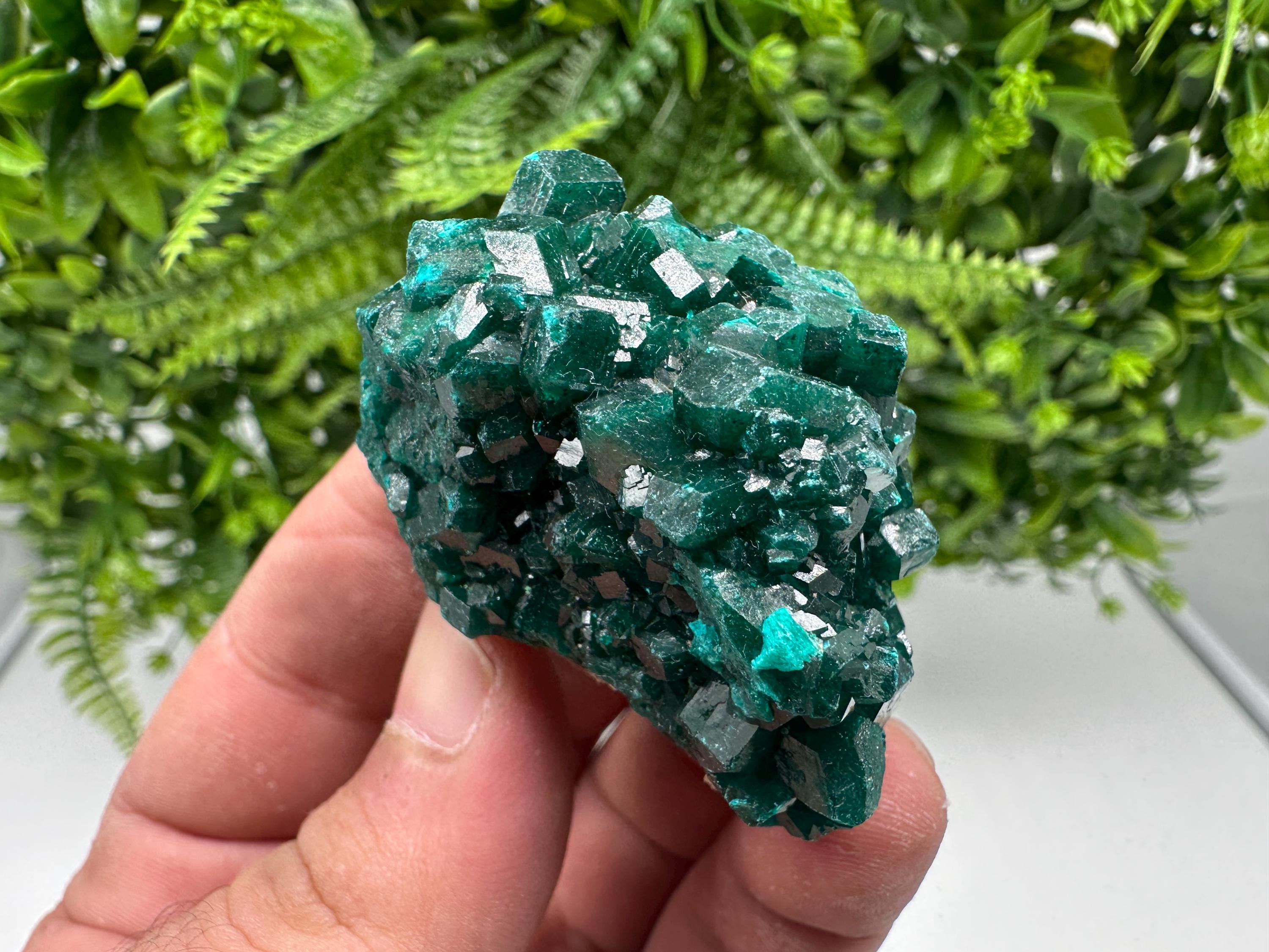 Stunning Green Dioptase from Sanda Hills,Mindouli,Pool Department,Mindouli District,Congo,green Dioptase,Dioptas Crystal,Dioptase collecting