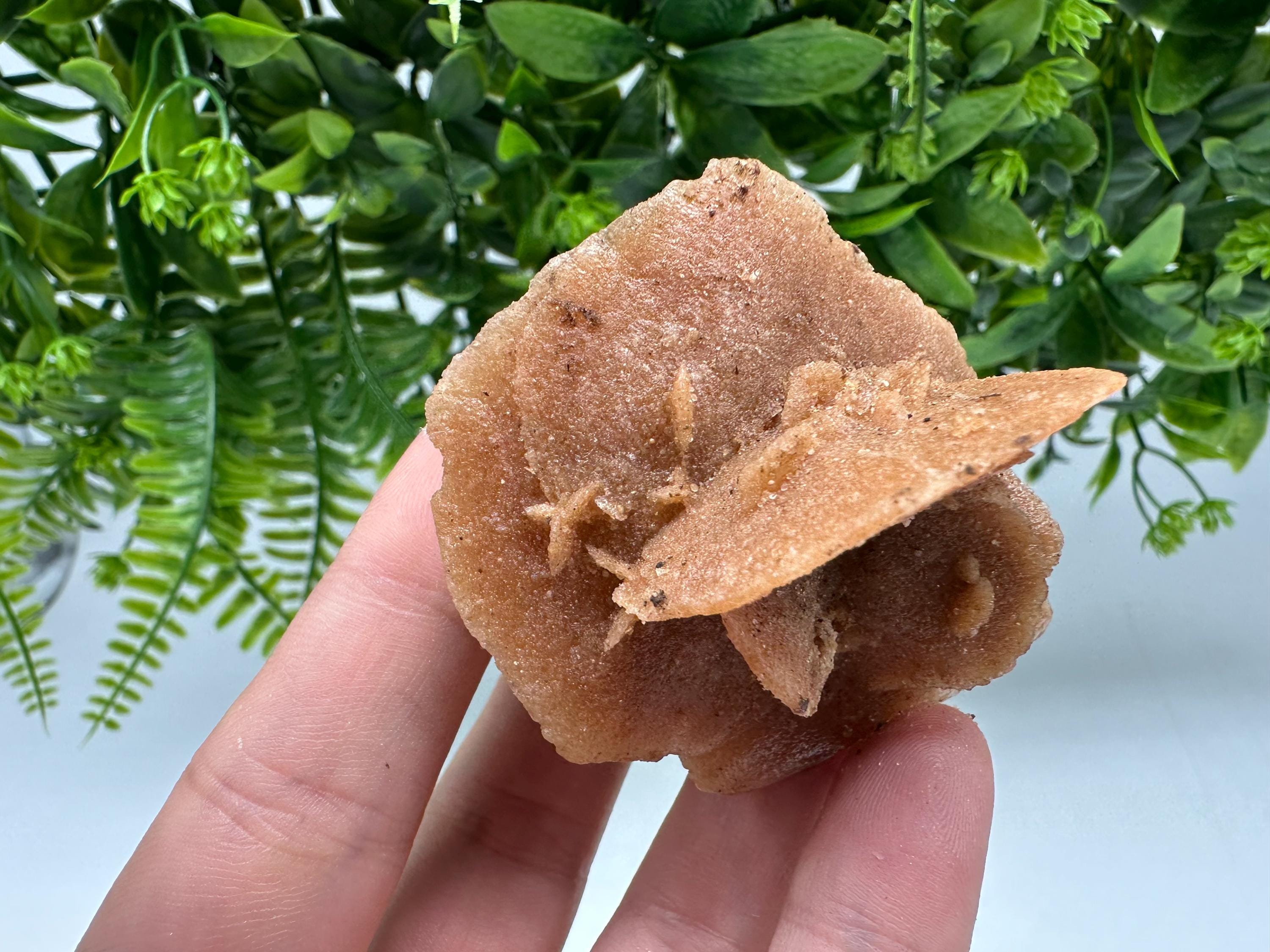 Natural Desert Rose Crystal - Root Chakra Healing Selenite Stone